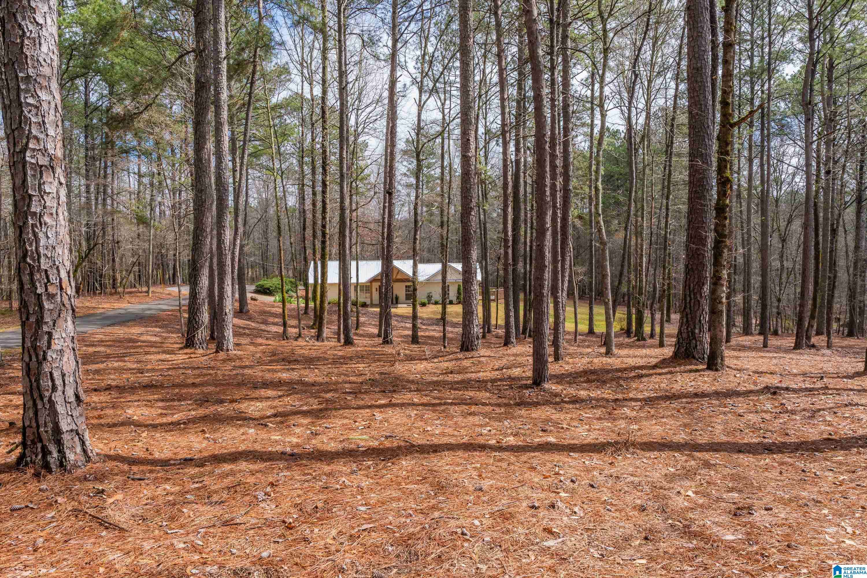 Sterrett, AL 35147,367 COUNTRY MANOR DRIVE