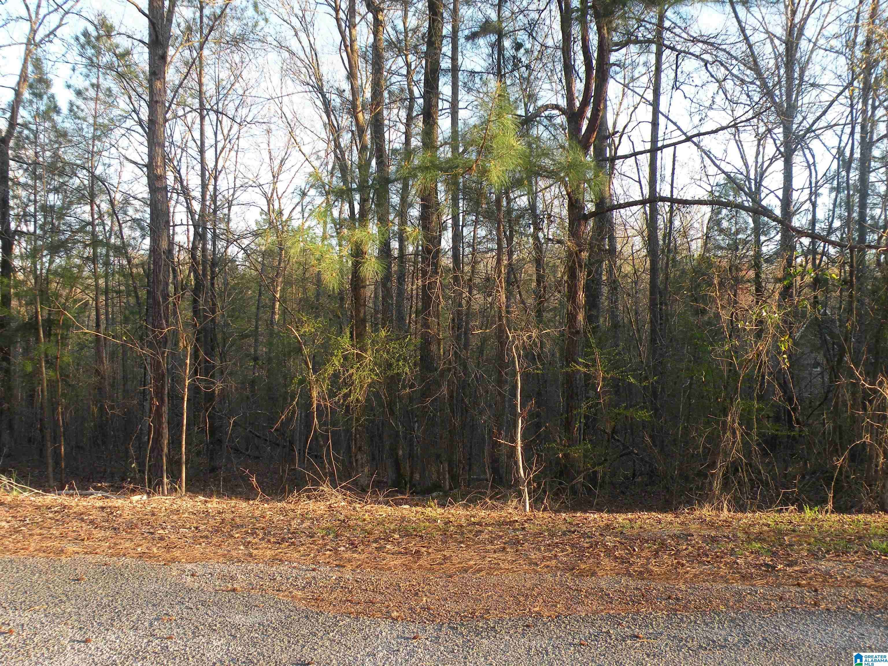 Childersburg, AL 35044,0 BILLINGSLEY DRIVE #0