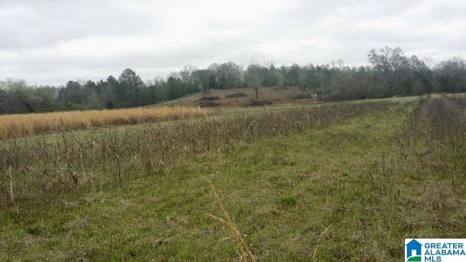 Eastaboga, AL 36260,825 HARRIS LANE #0