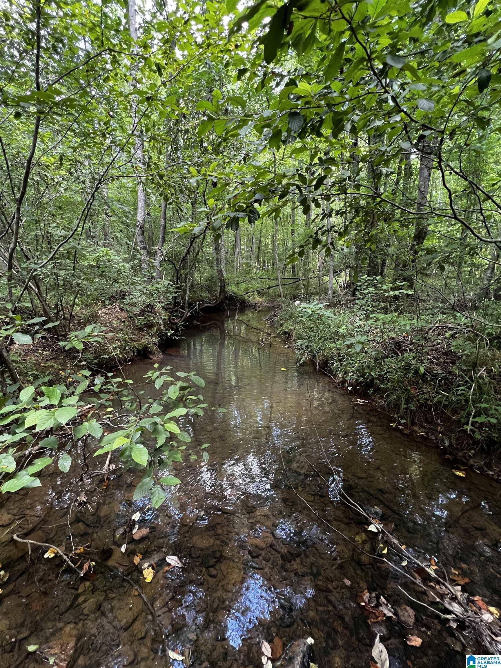 Verbena, AL 36091,0 COUNTY ROAD 515 #1