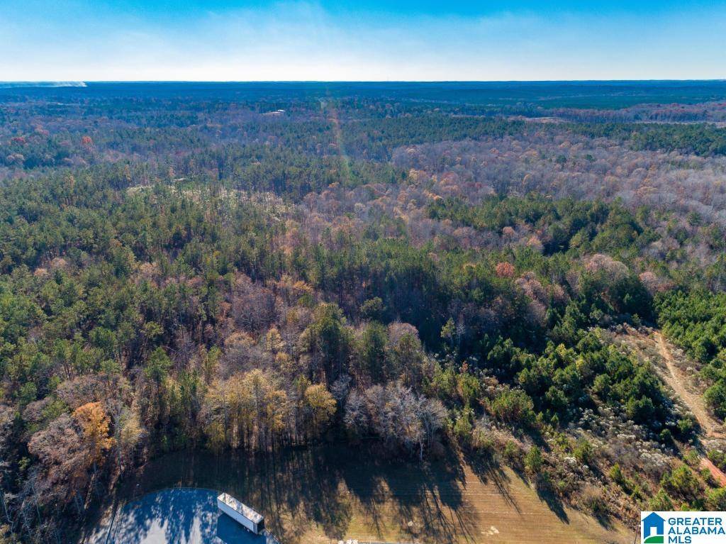 Alexander City, AL 35010,1374 E HIGHWAY 280 E #1374
