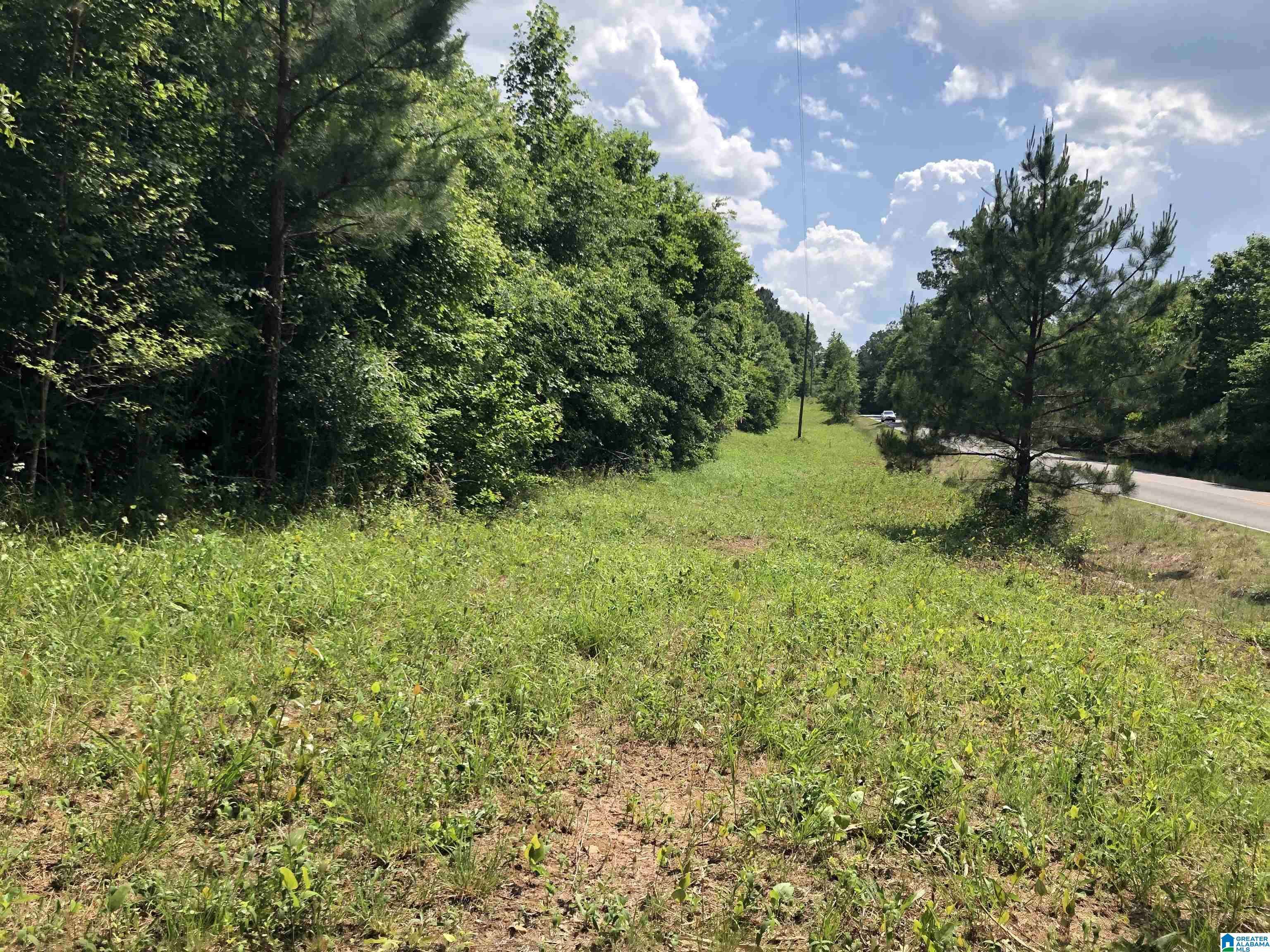 Ohatchee, AL 36271,0 PEEKS HILL ROAD #7