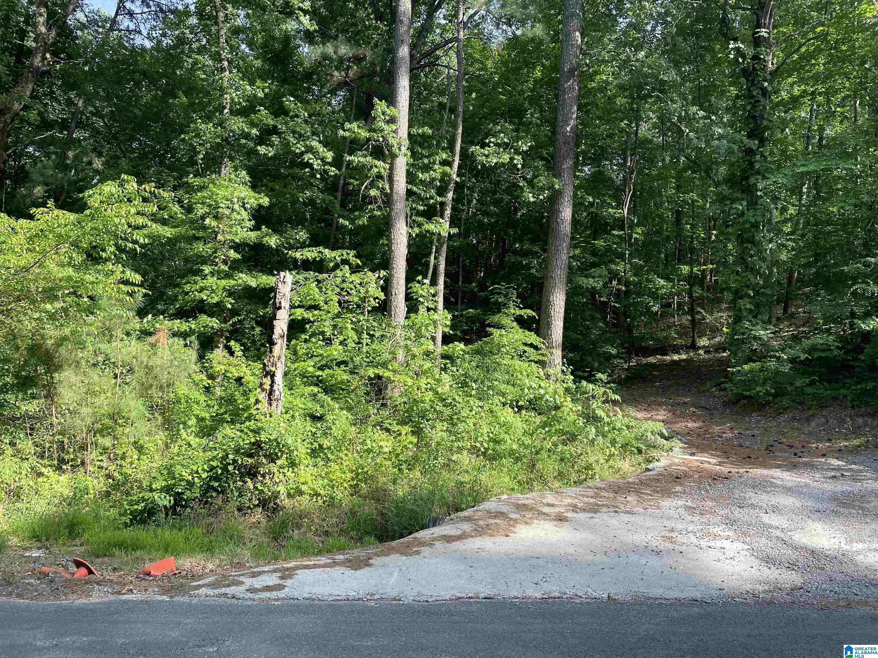 Springville, AL 35146,00 SPORTSMAN LAKE ROAD #1