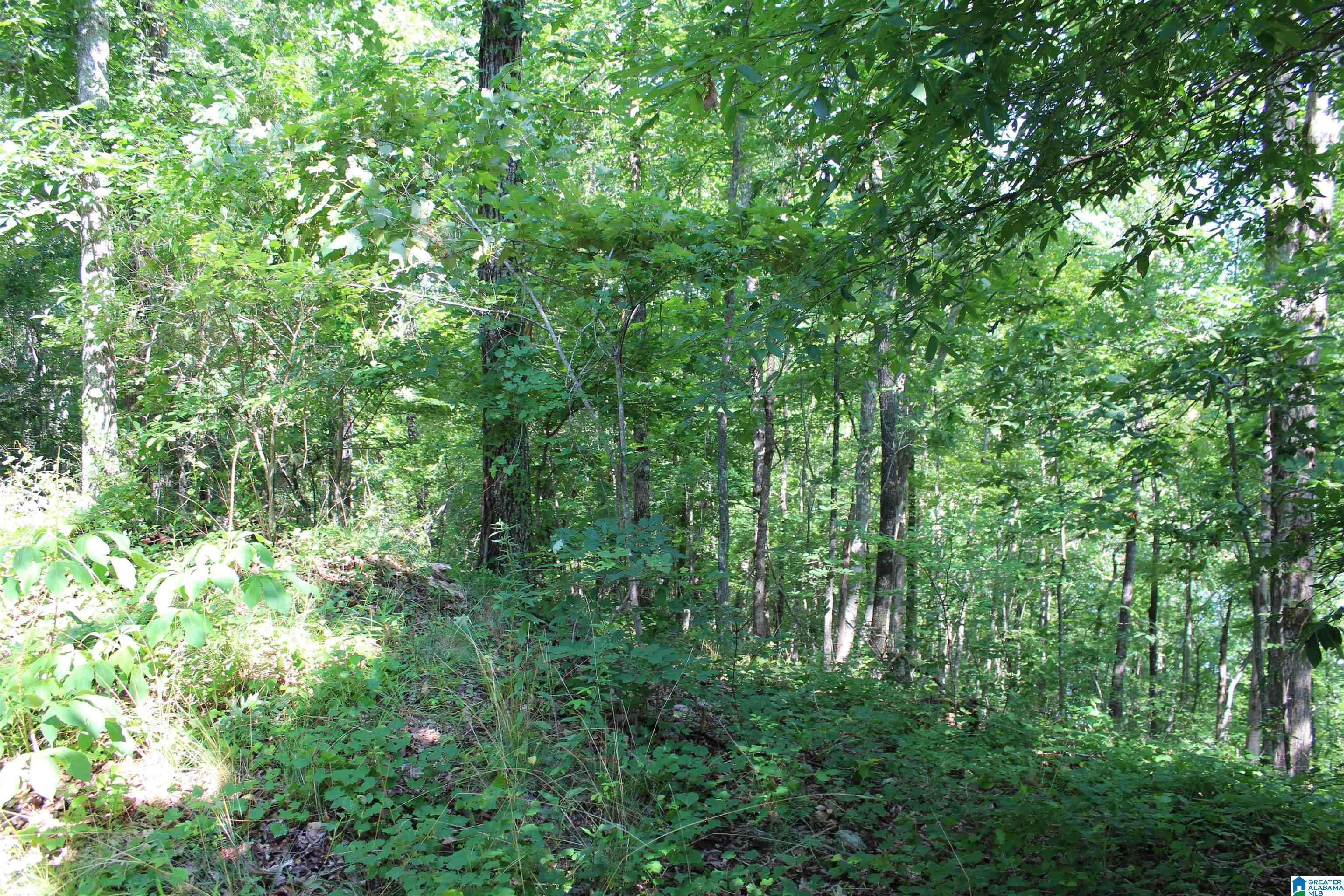 Ashville, AL 35953,2291 WALDROP ROAD #3