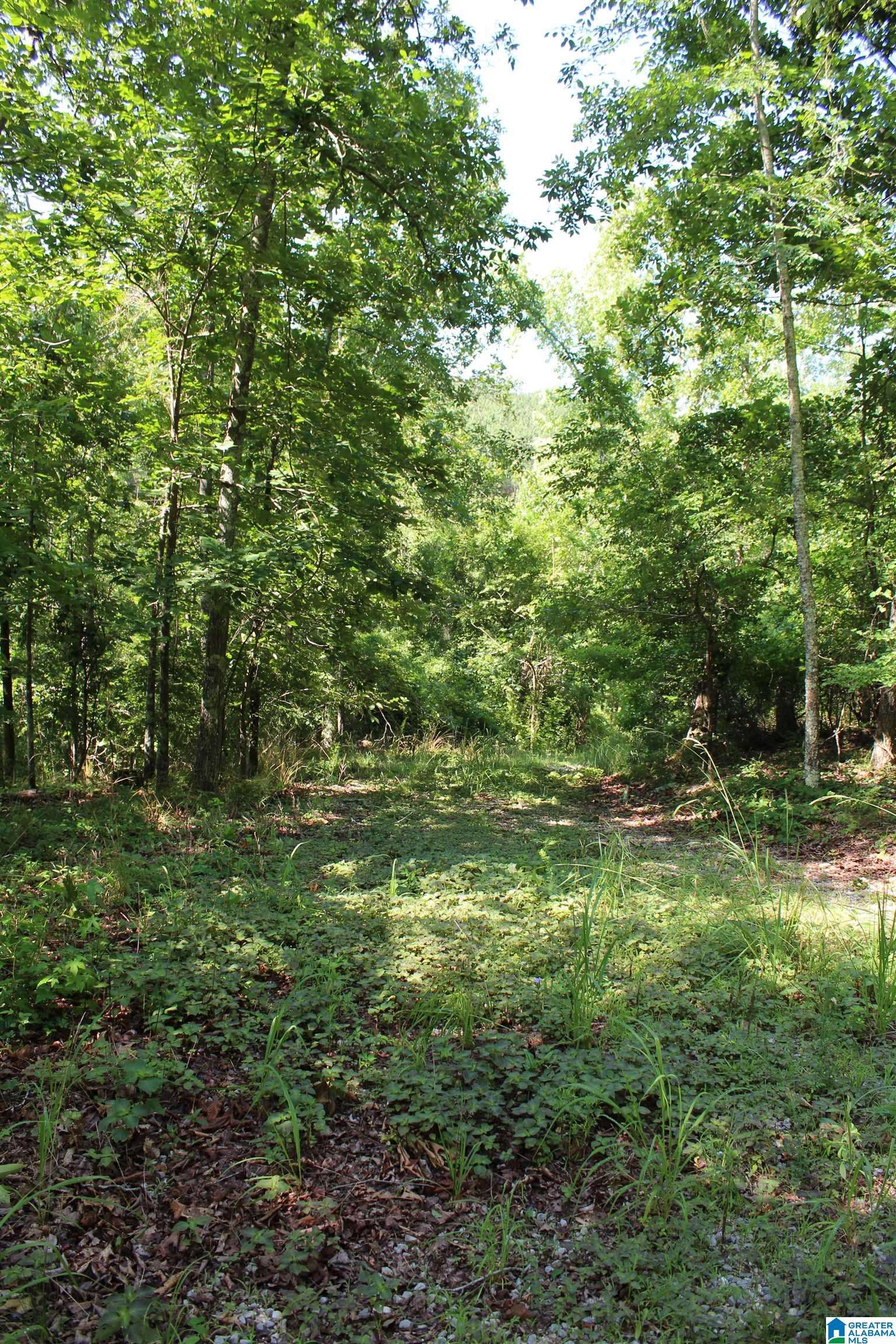 Ashville, AL 35953,2291 WALDROP ROAD #3