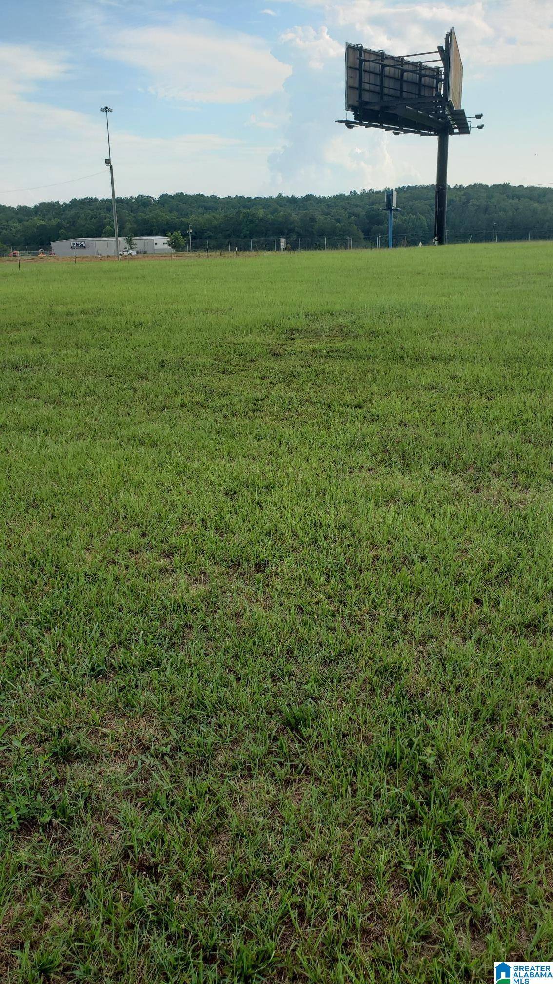 Jemison, AL 35085,COUNTY ROAD 93 #1