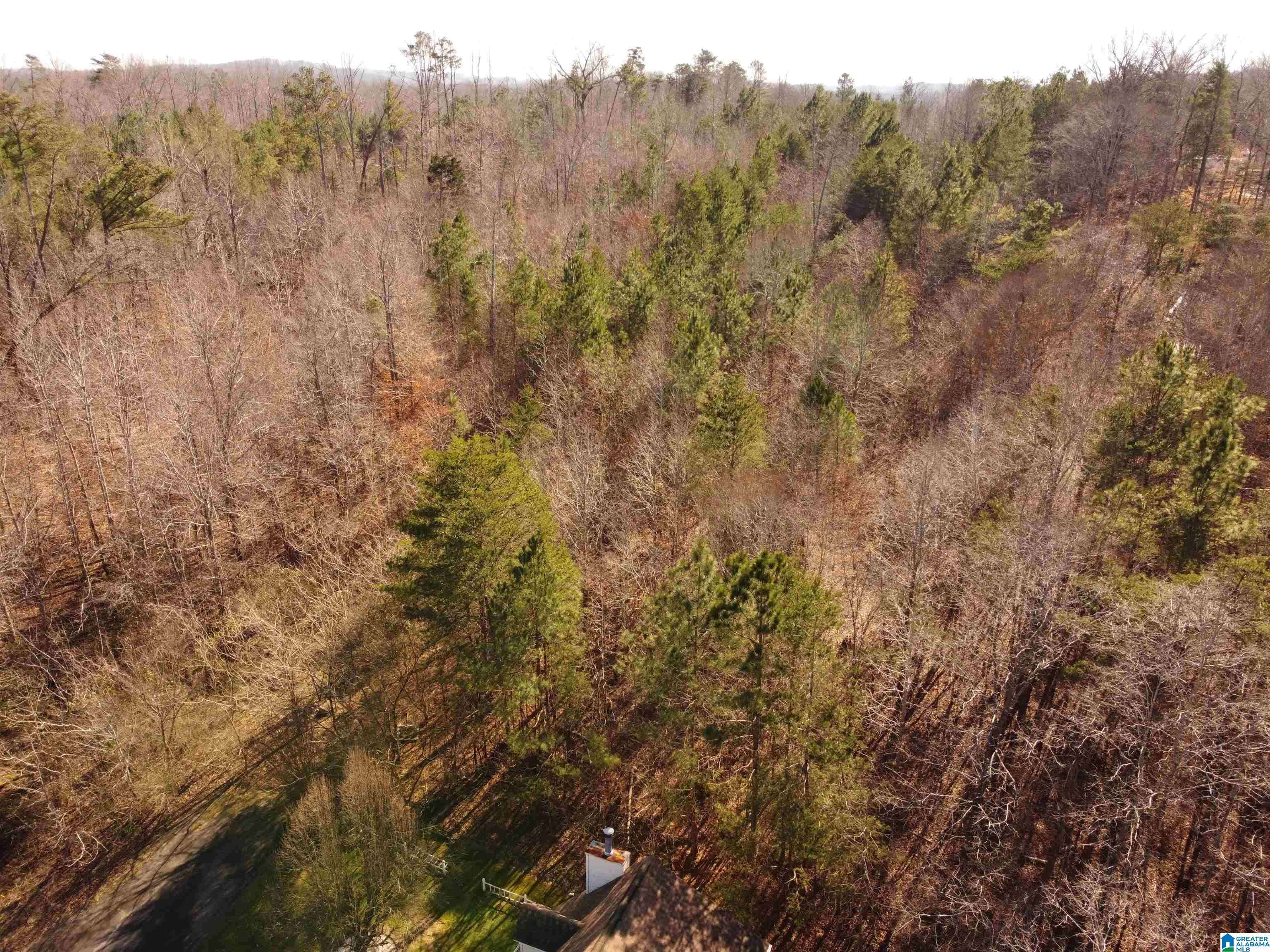 Pinson, AL 35126,6758 BRITTANY PLACE #002.004