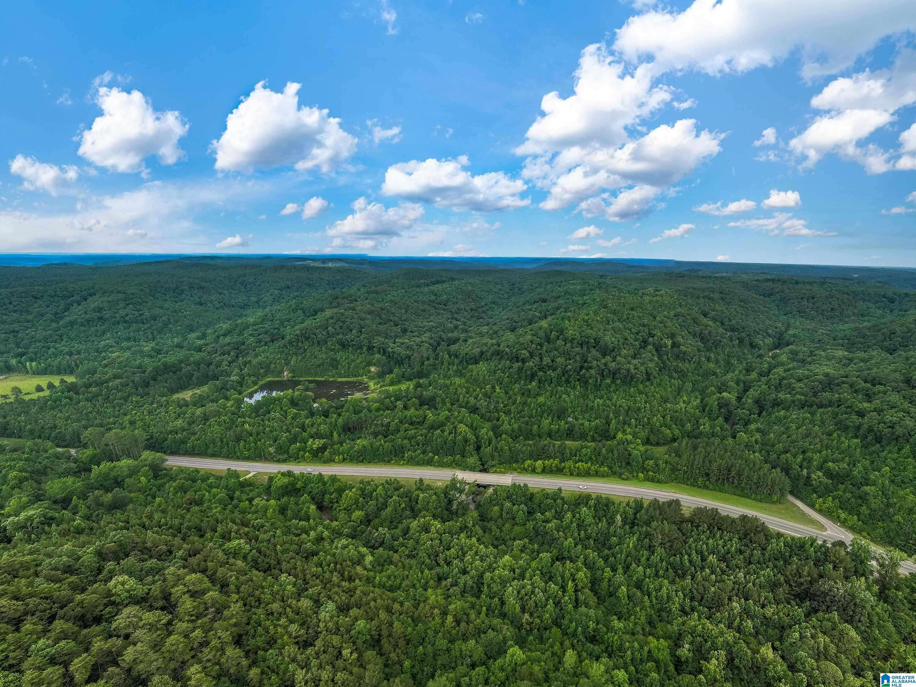 Carbon Hill, AL 35549,81 FROZEN HOLLOW ROAD #32