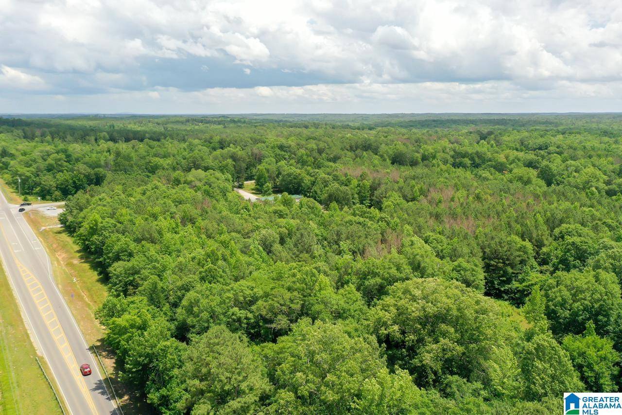 Calera, AL 35040,156 HIGHWAY 42 #0