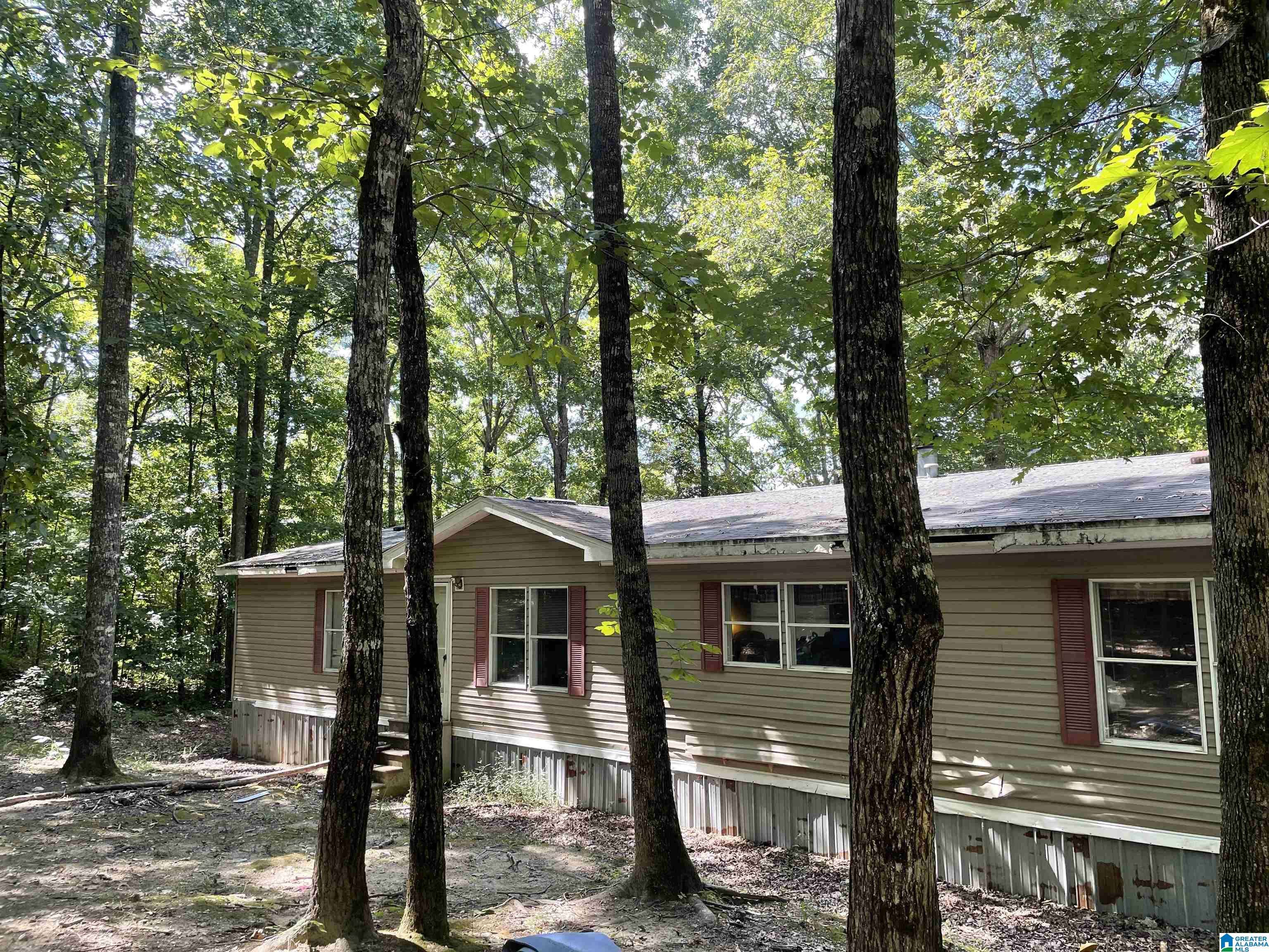 Roanoke, AL 36274,5126 HIGHWAY 431