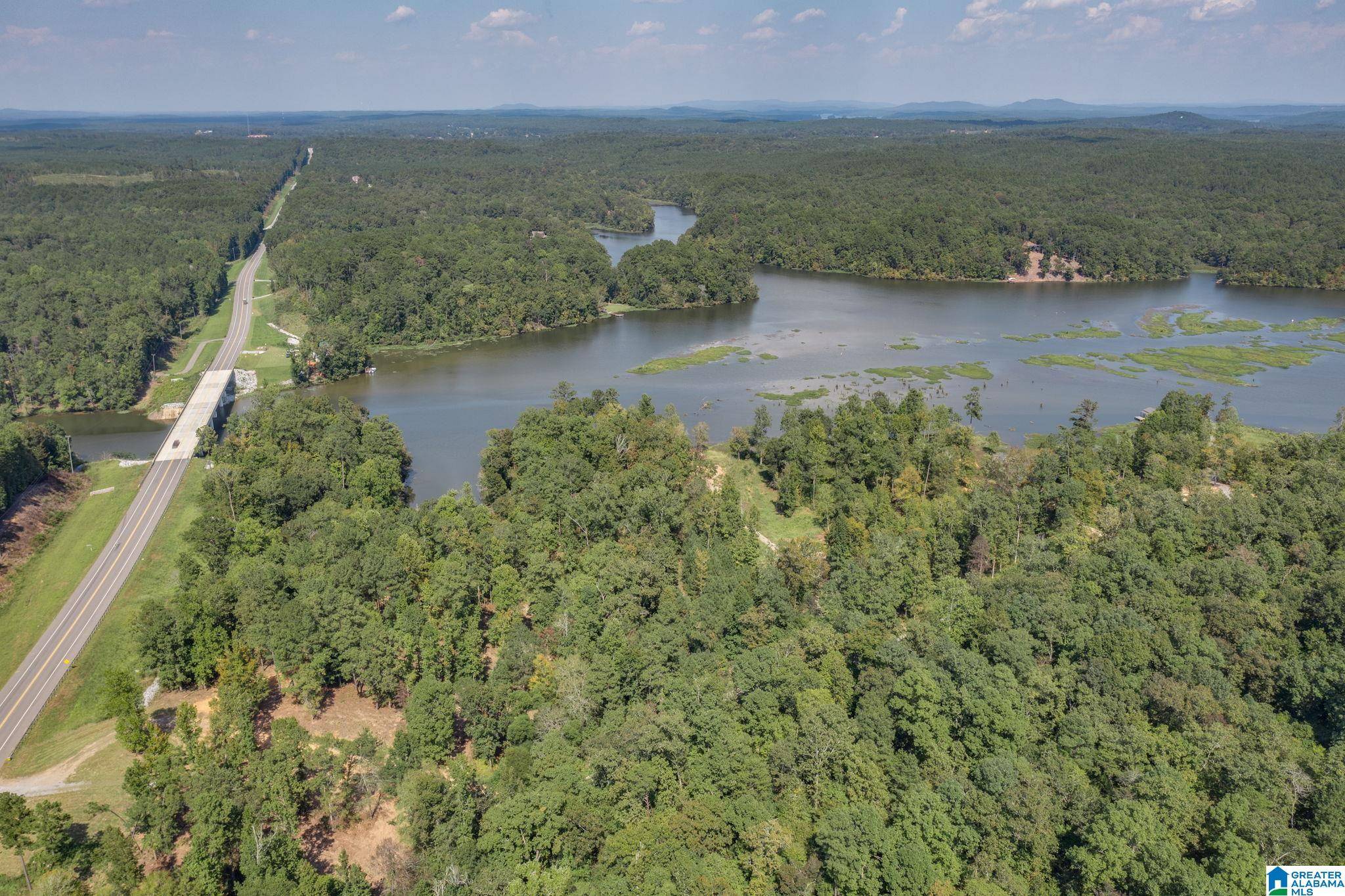 Clanton, AL 35045,LOT 3 COUNTY ROAD 730 #3