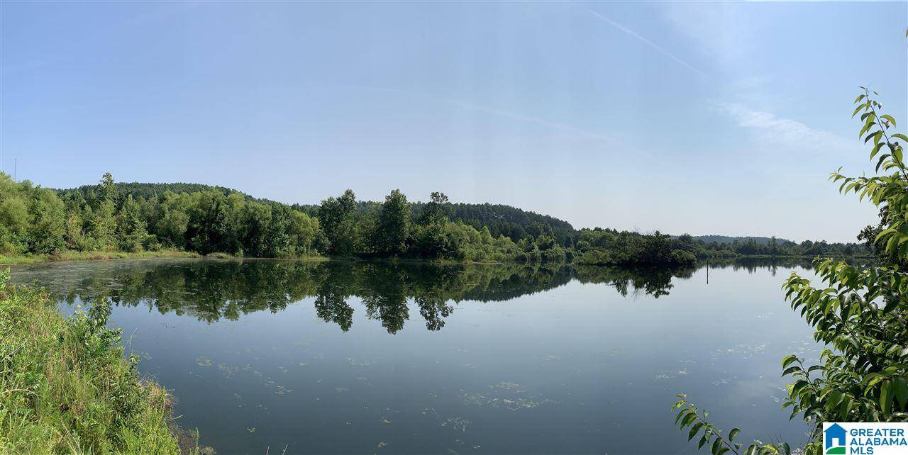 Oakman, AL 35579,0 HIGHWAY 69 #600 acres