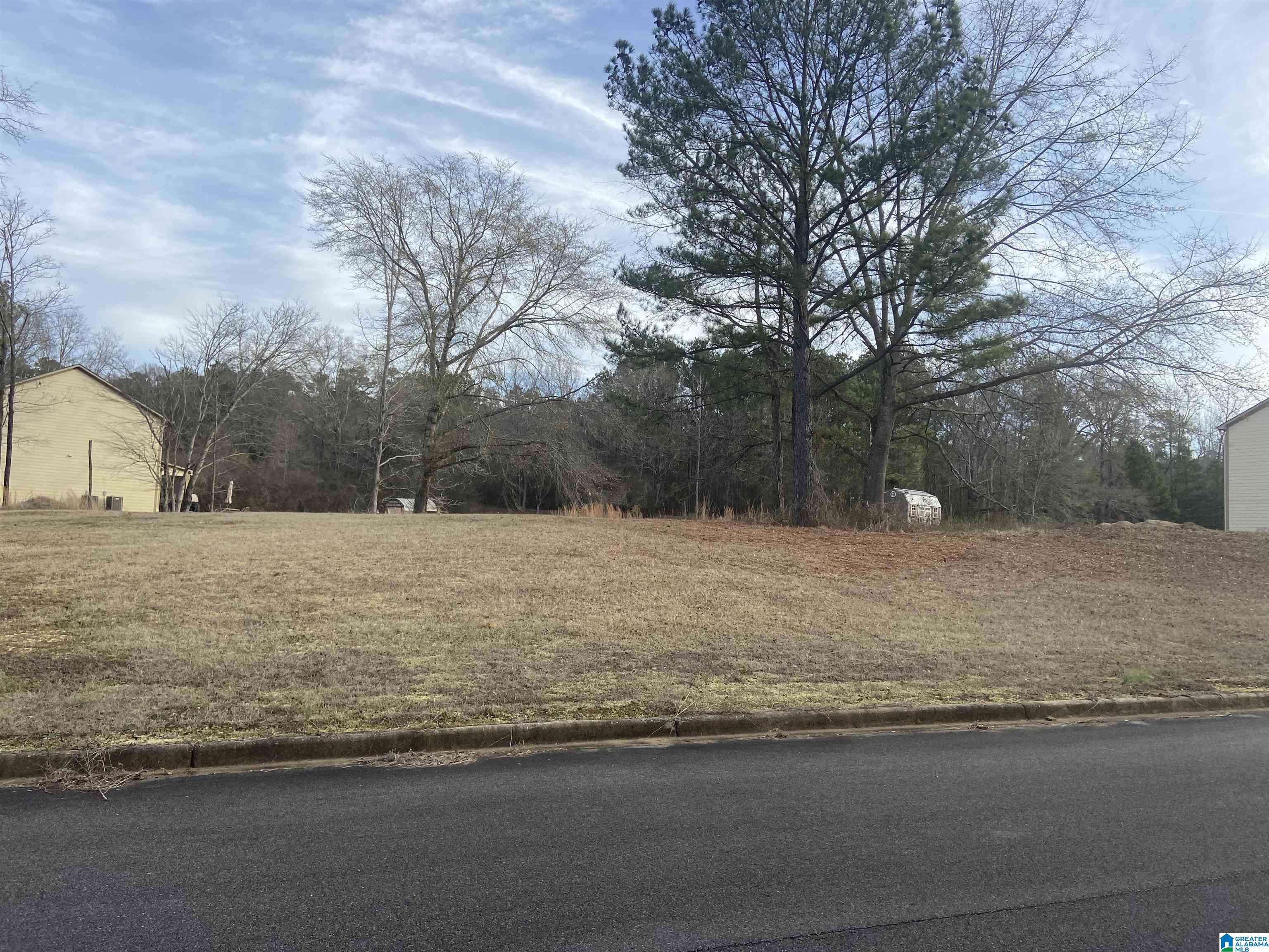 Bessemer, AL 35022,3999 LUCY LANE #Lot 130
