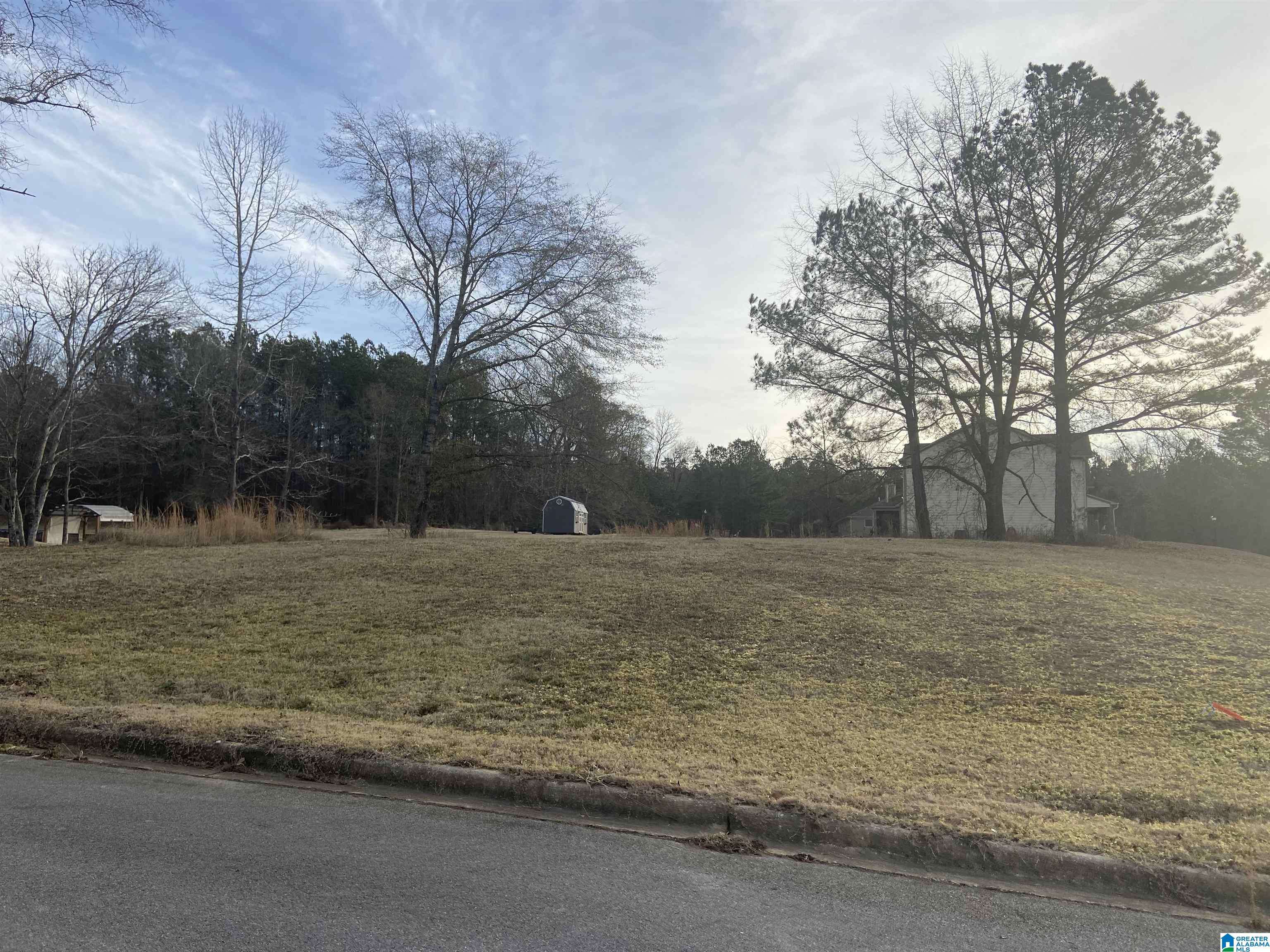 Bessemer, AL 35022,3999 LUCY LANE #Lot 130