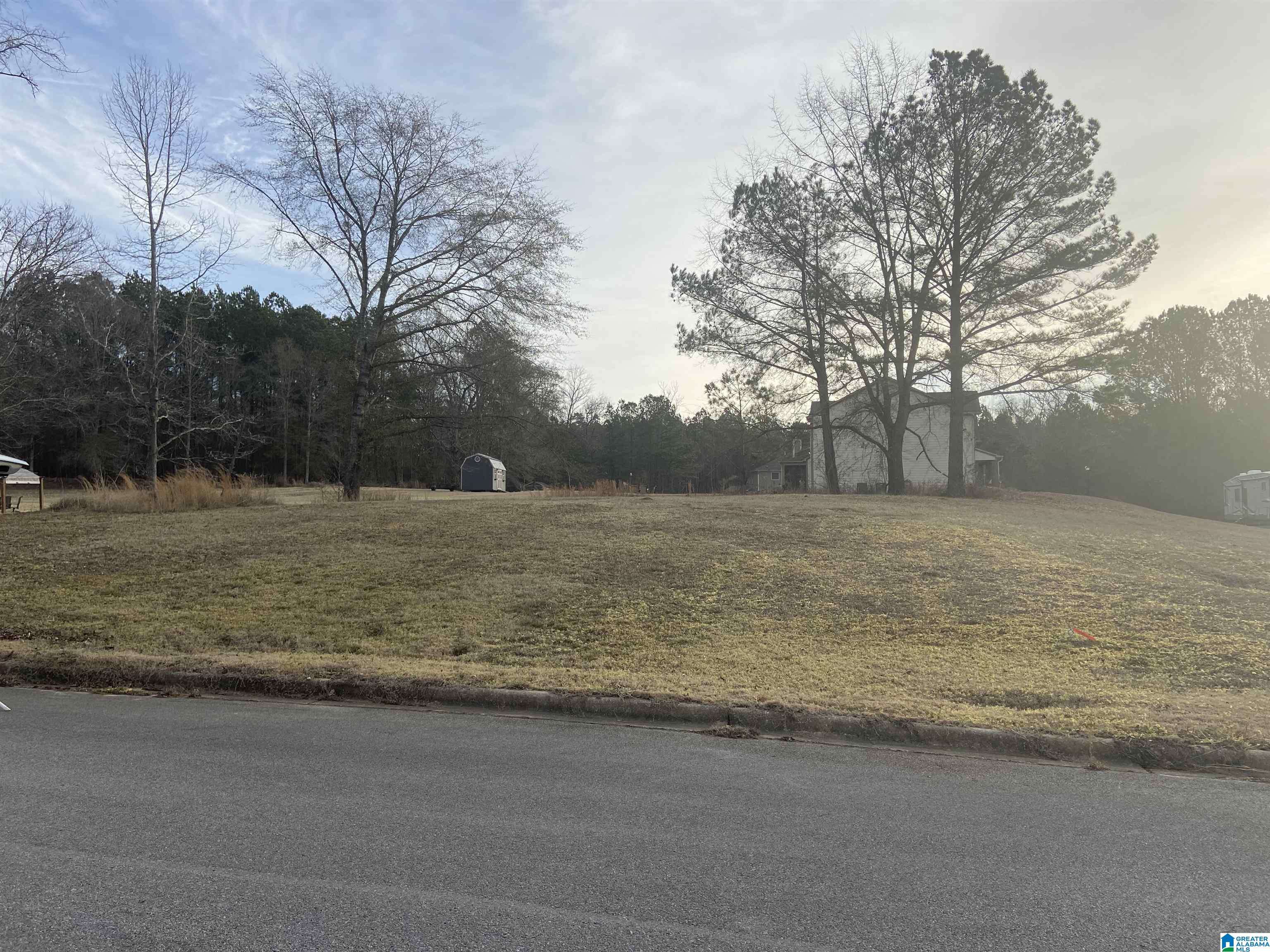 Bessemer, AL 35022,3999 LUCY LANE #Lot 130