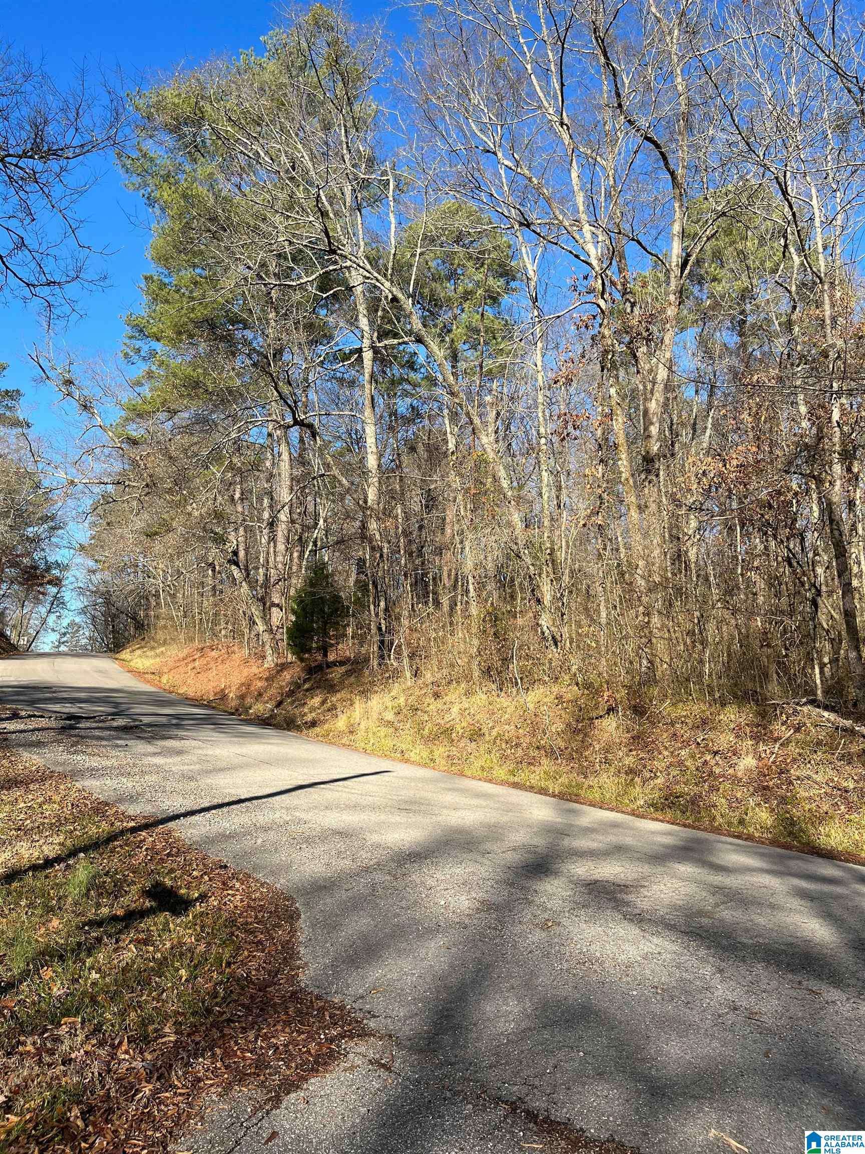 Birmingham, AL 35217,216 OAK FOREST DRIVE #1