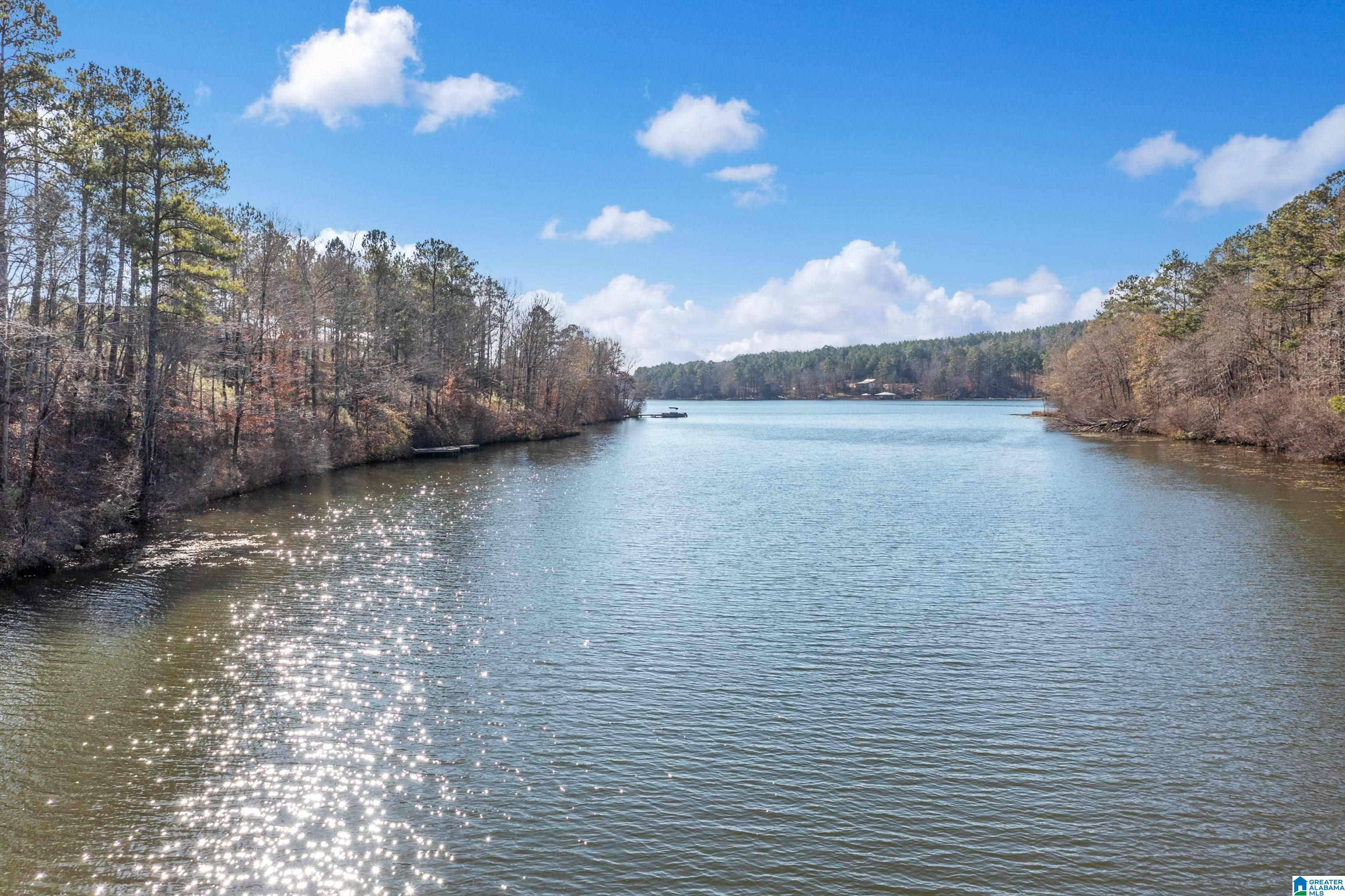 Sylacauga, AL 35151,0 PAINT CREEK OVERLOOK #35