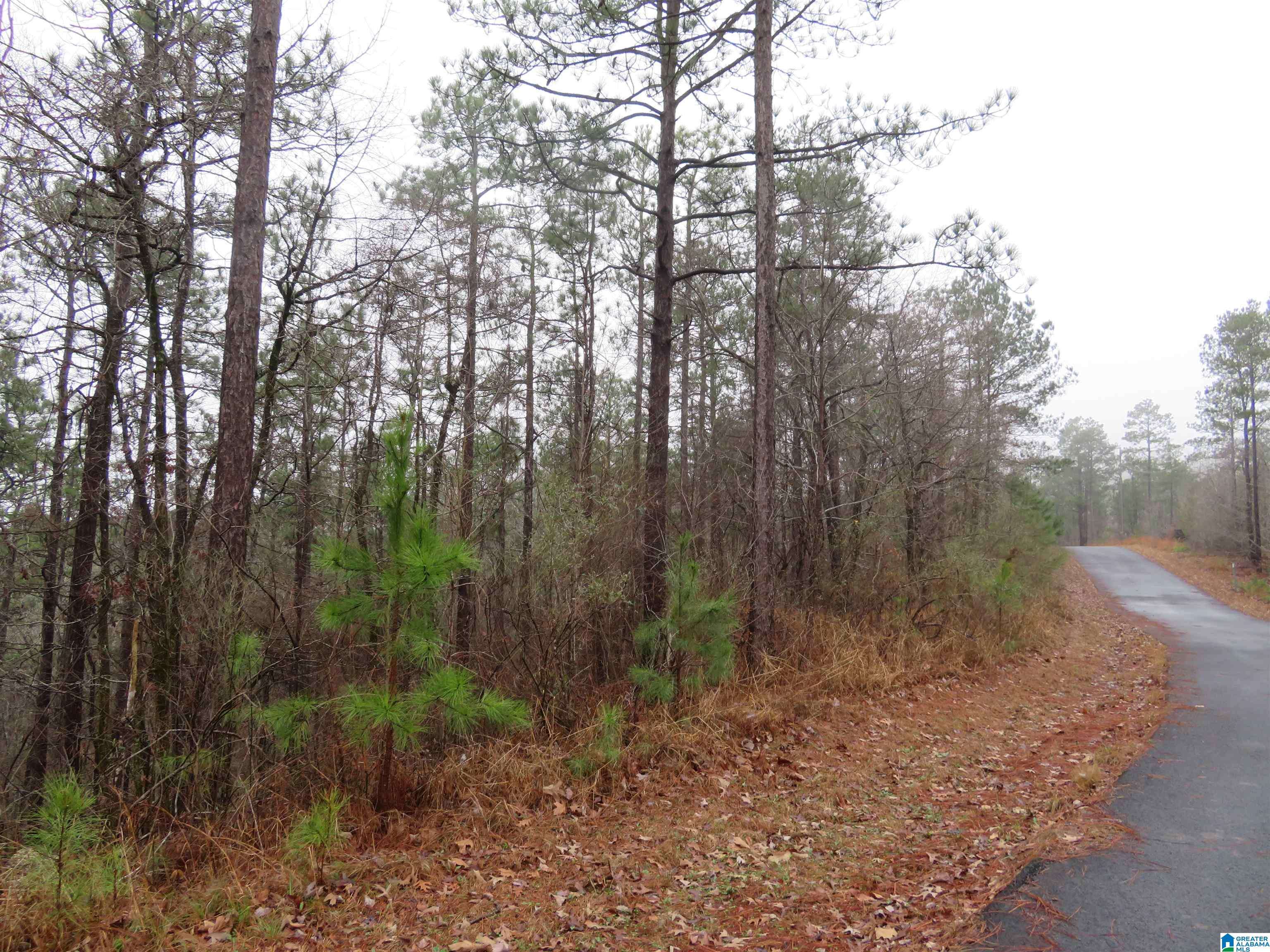 Rockford, AL 35136,Lot 13 PRESERVE CIRCLE #13