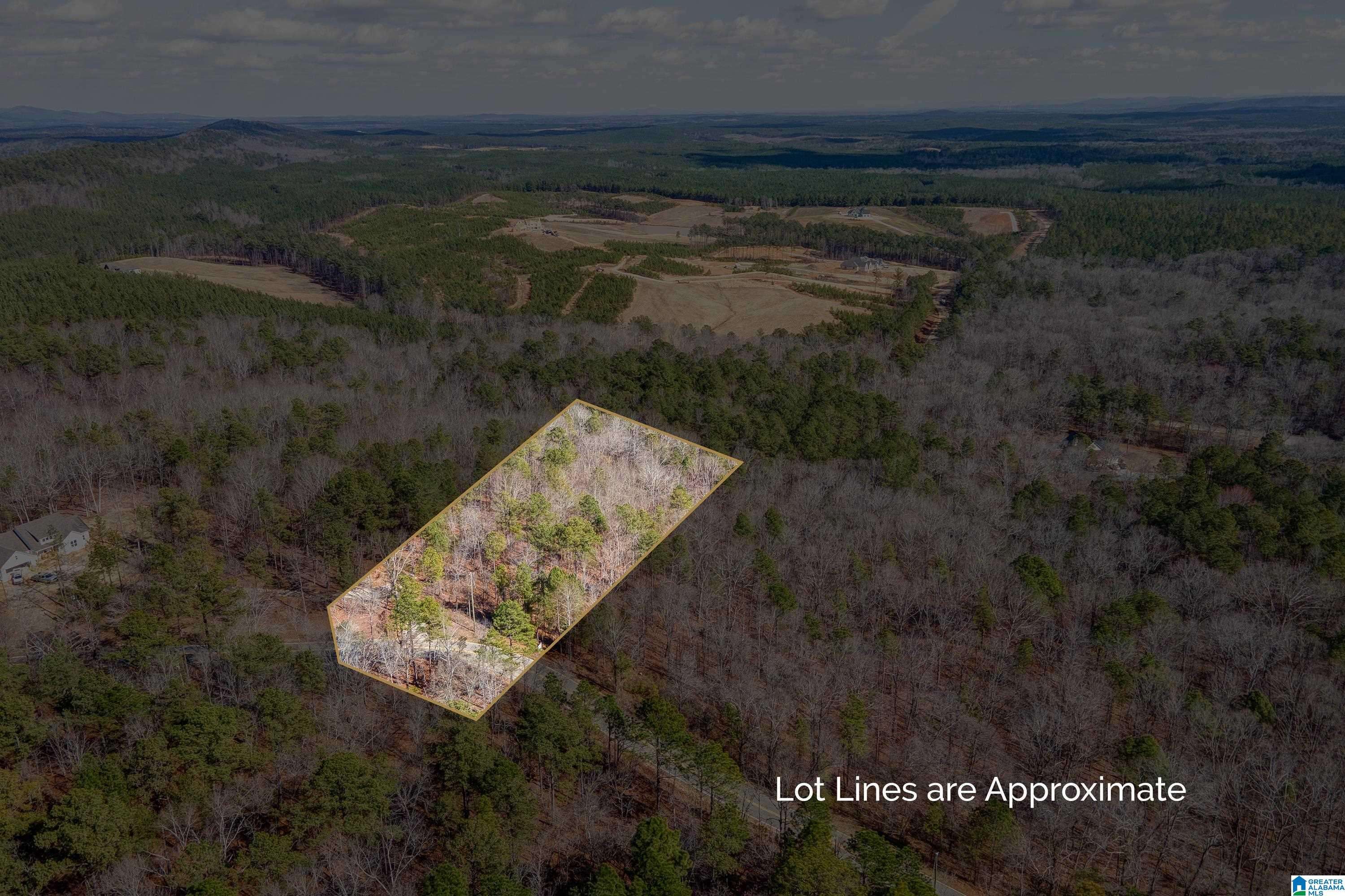 Columbiana, AL 35051,1774 HIGHWAY 331 #Lot 1-A & 1-B