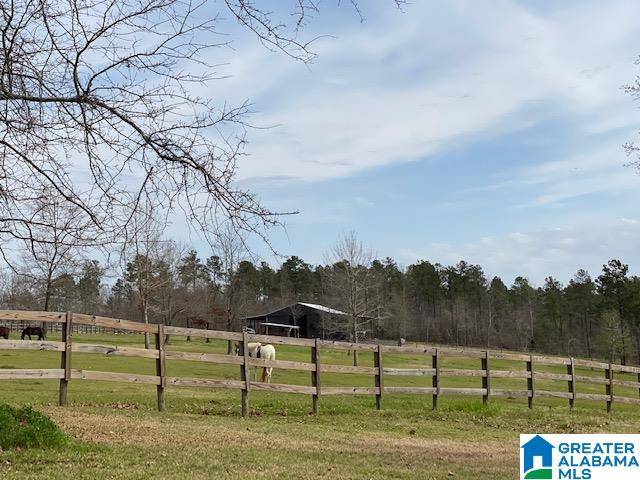 West Blocton, AL 35184,PINEVIEW DRIVE #9