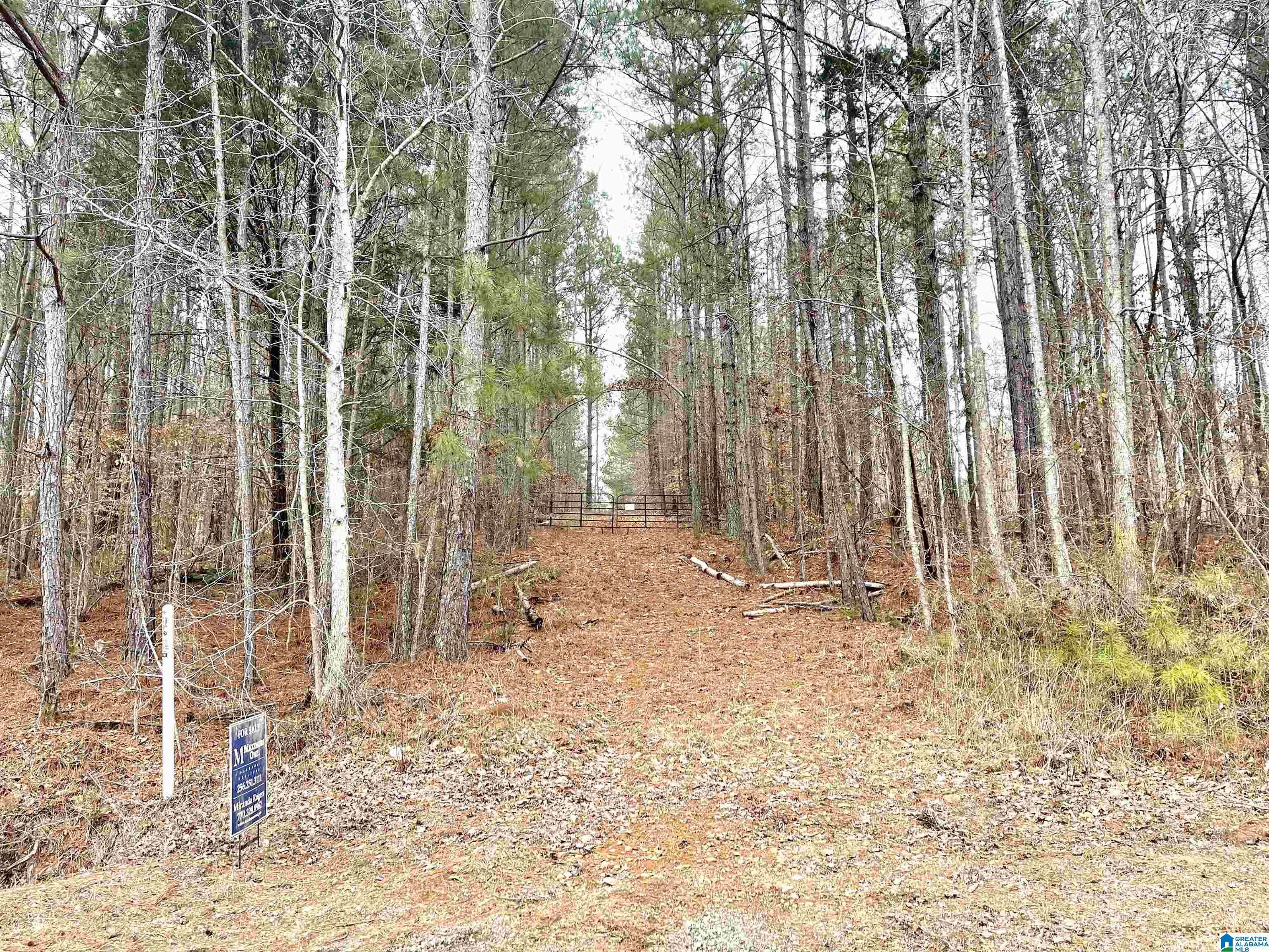 Ranburne, AL 36273,COUNTY ROAD 10 #NA