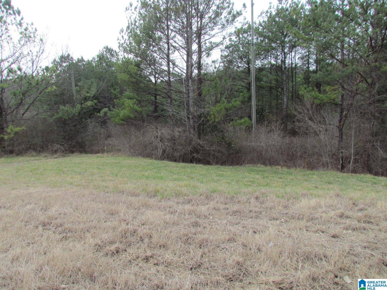 Remlap, AL 35133,00 HIGHWAY 75 #0