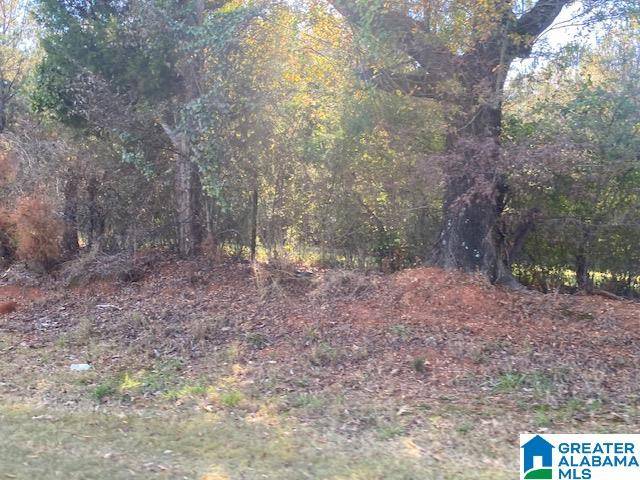 Alabaster, AL 35007,0 MONTEVALLO ROAD #0