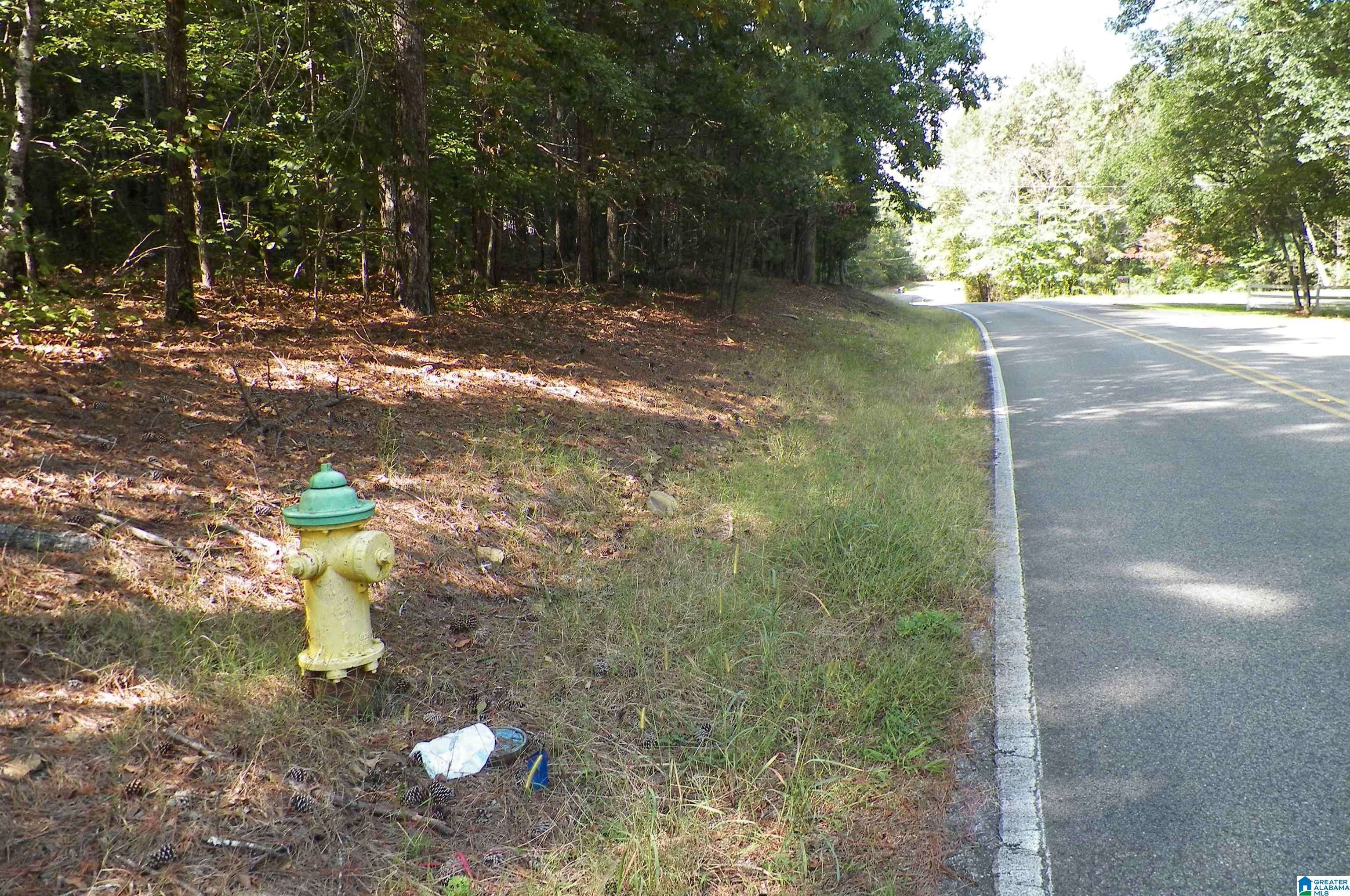 Warrior, AL 35180,9146 THERMAL ROAD #6