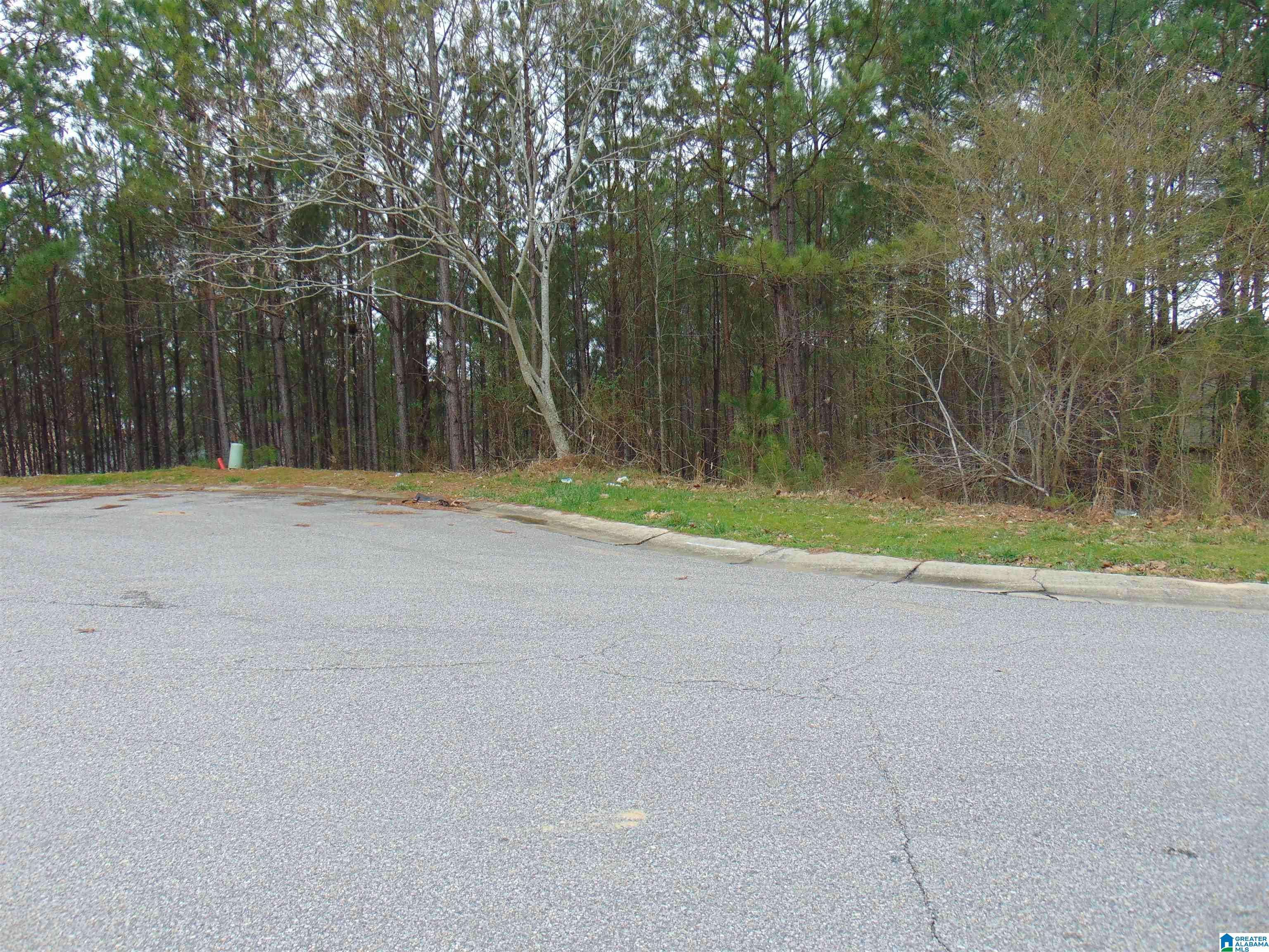 Alabaster, AL 35114,1210 GRANDE VIEW LANE #804