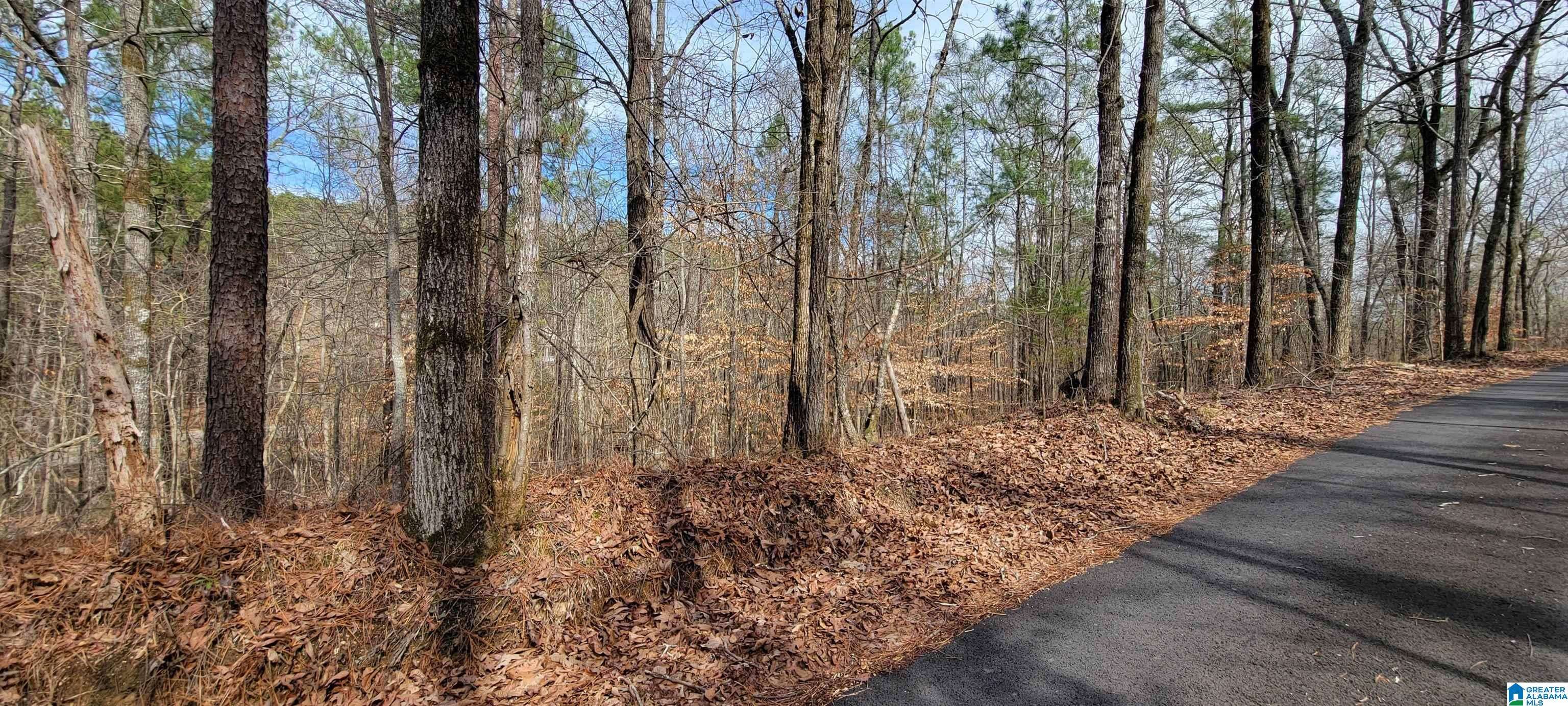 Riverside, AL 35135,45 COOSA VIEW LANE #0