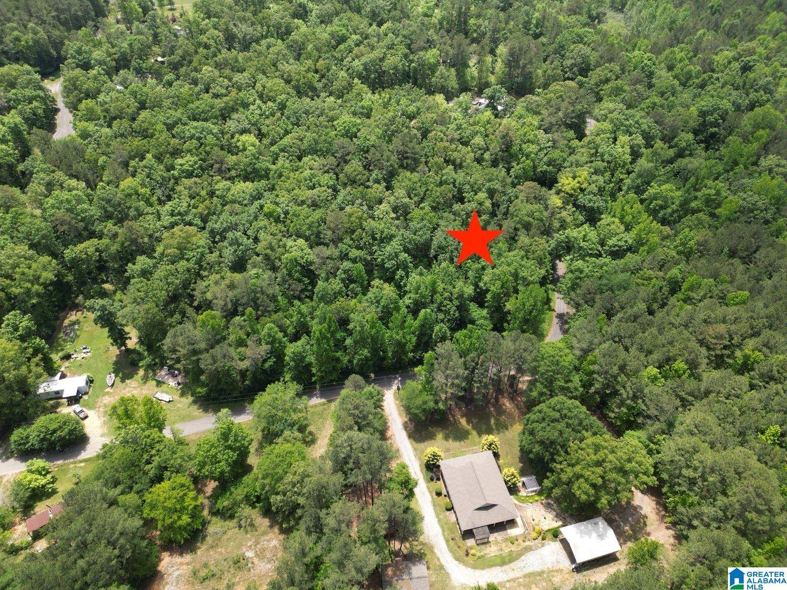 Riverside, AL 35135,45 COOSA VIEW LANE #0