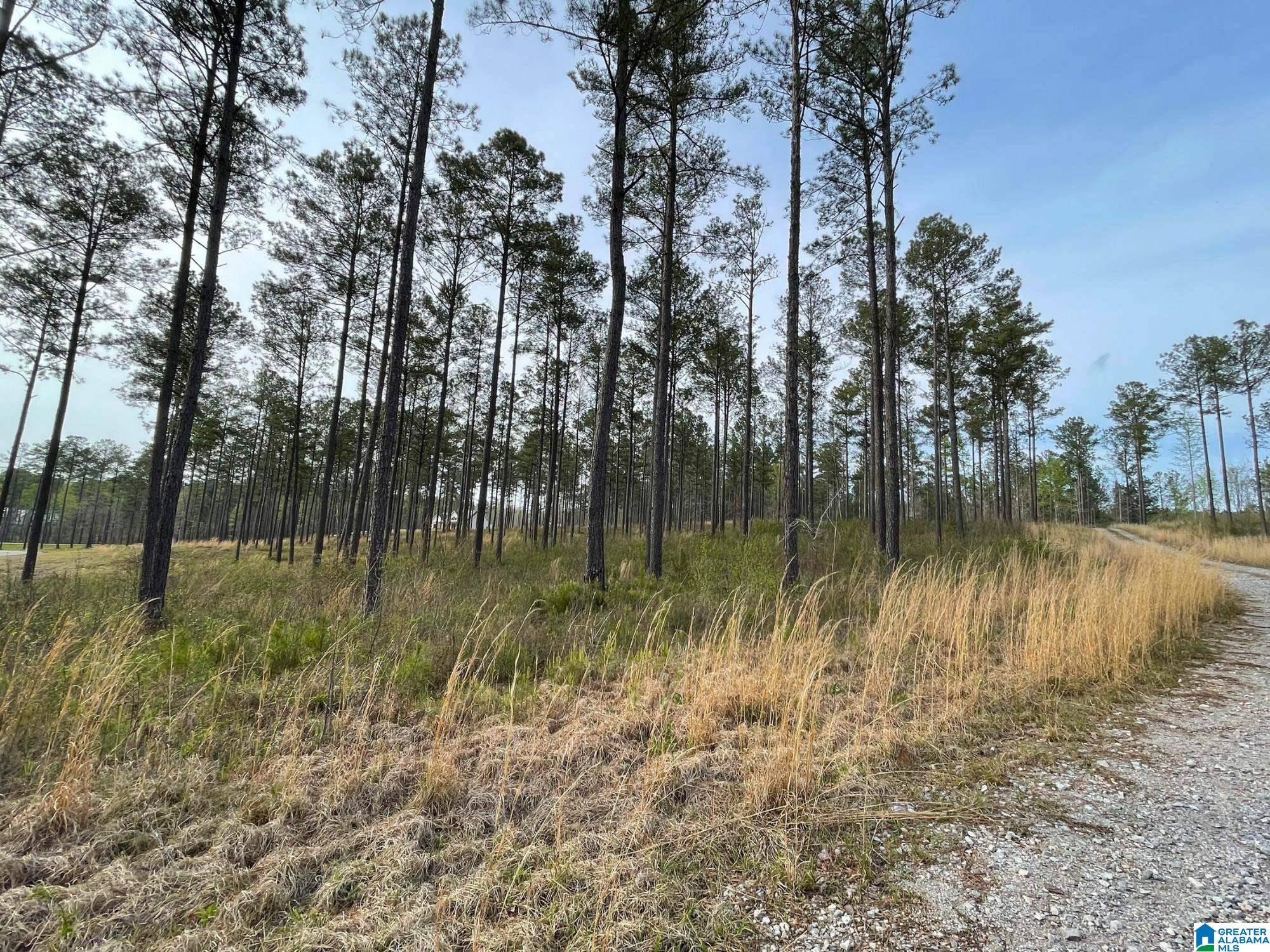 Helena, AL 35080,75 BIG PINE DRIVE #1