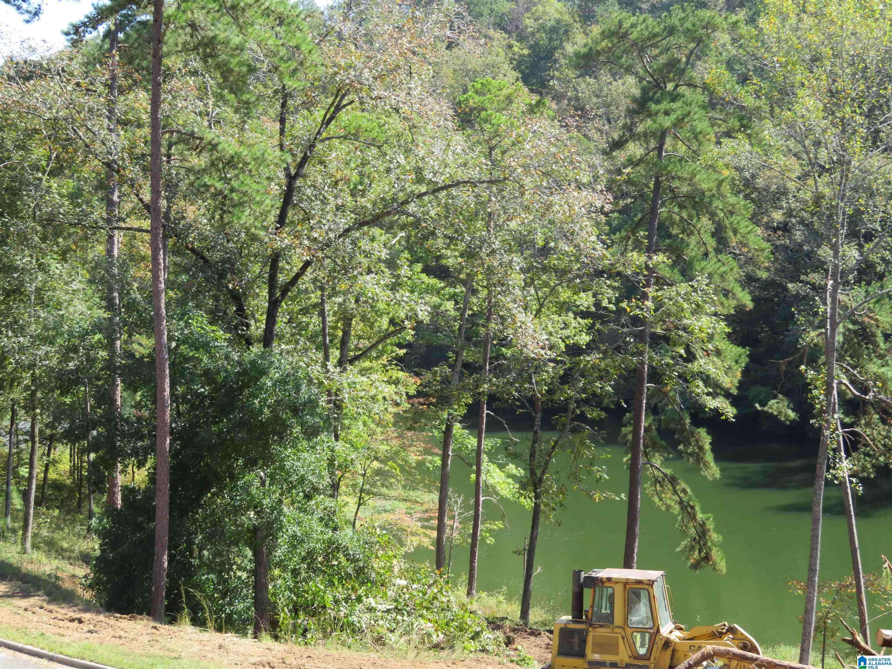 Rockford, AL 35136,Lot 7 PRESERVE DRIVE #7