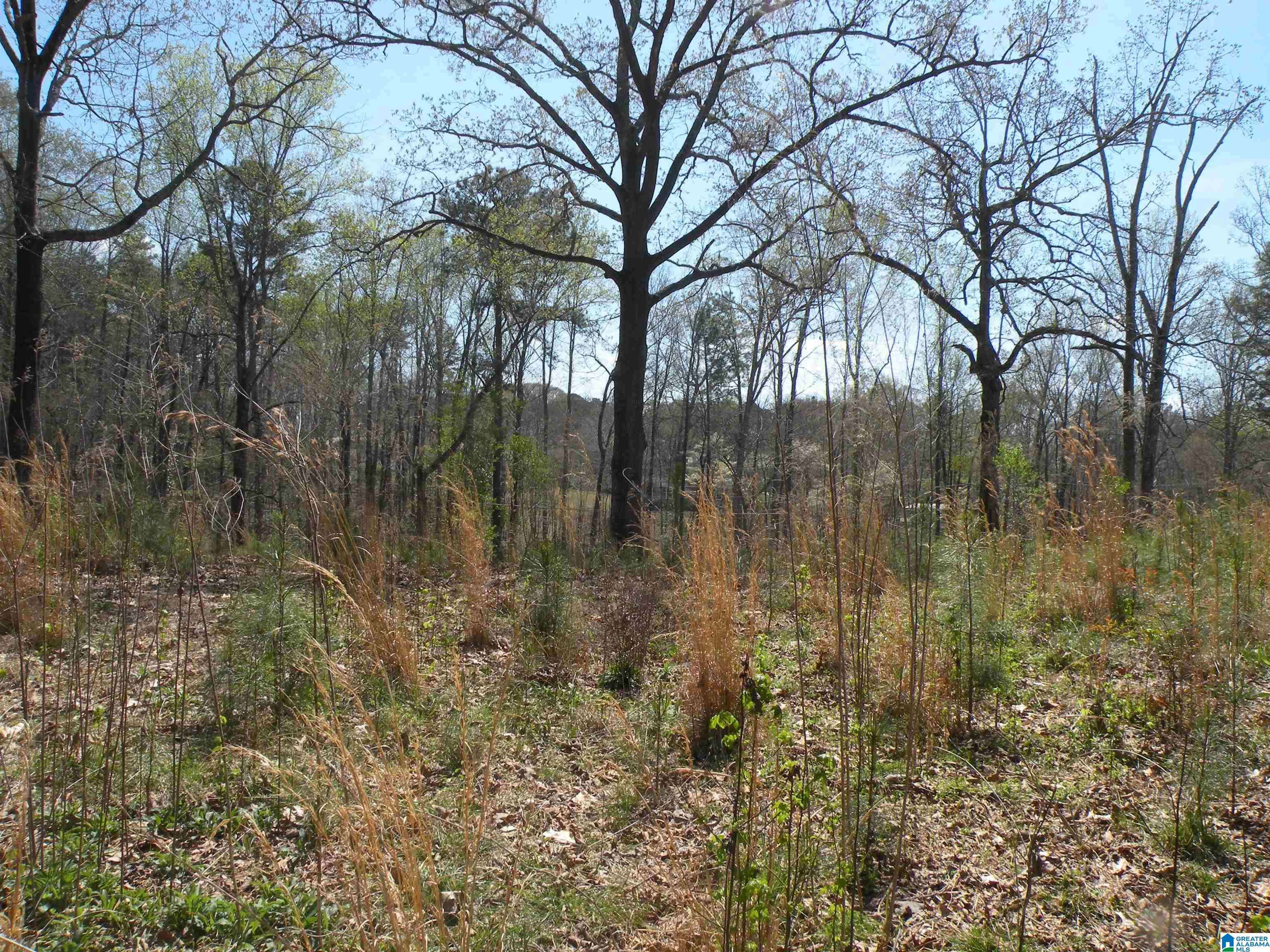 Sylacauga, AL 35150,152 HONEYSUCKLE LANE #0