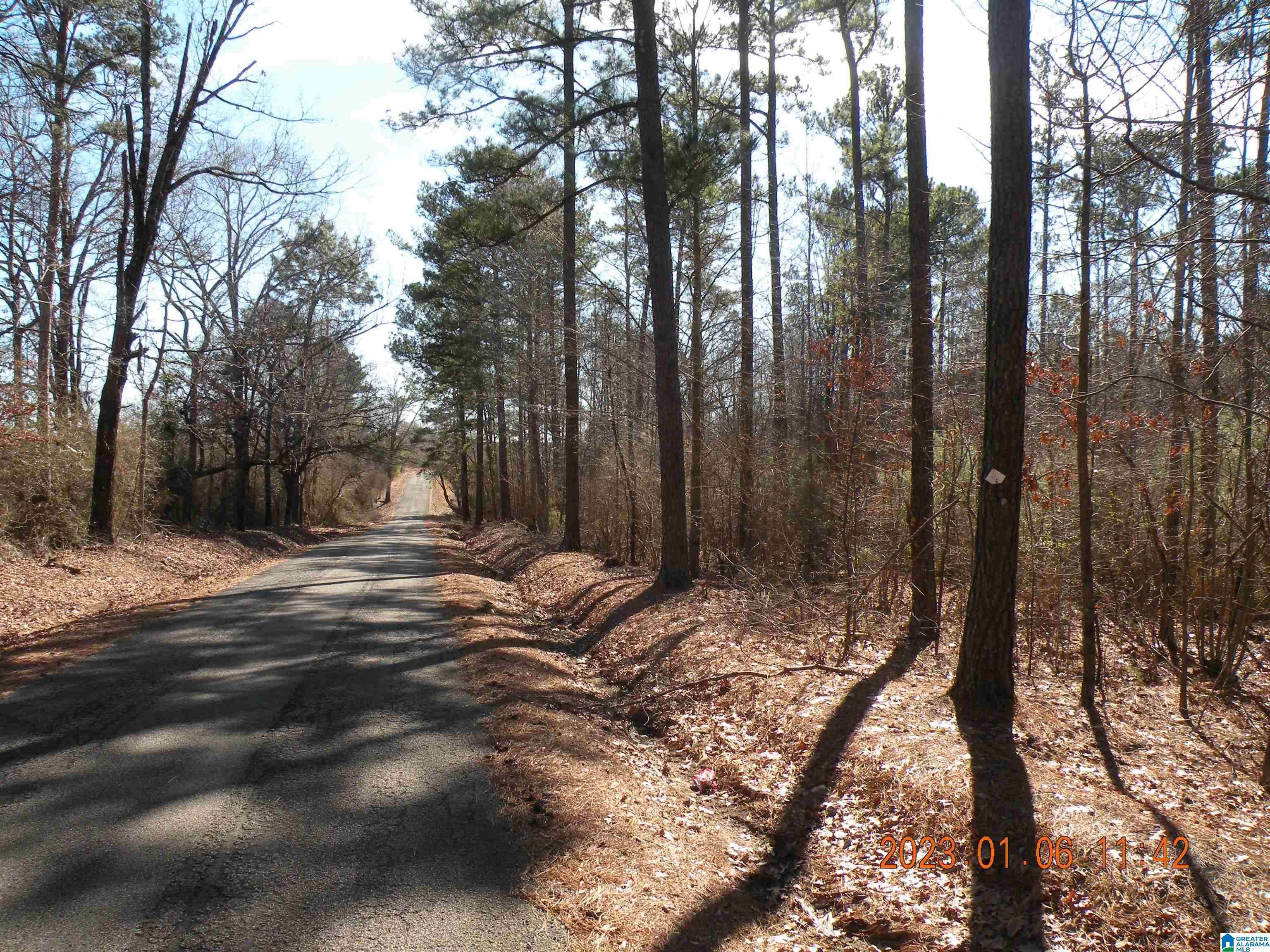 Jasper, AL 35503,LAYS ROAD #80 ac
