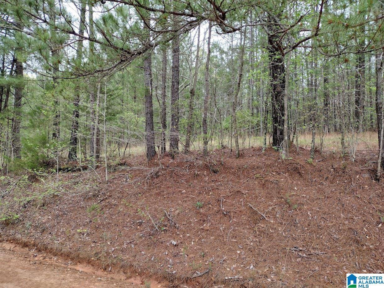 Roanoke, AL 36274,0 COUNTY ROAD 821 #0