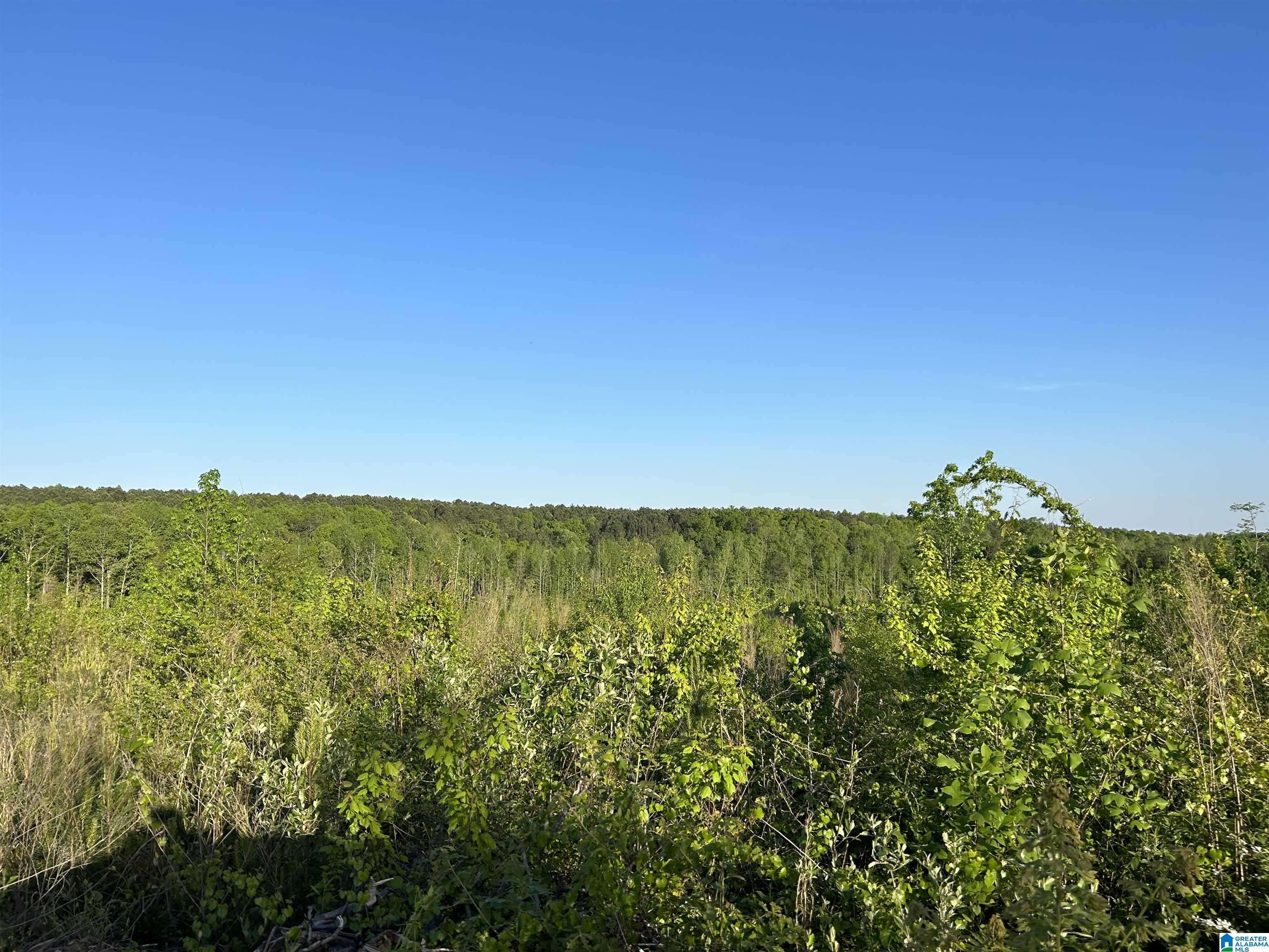 Roanoke, AL 36274,COUNTY ROAD 639 #Tract 4 15 Ac