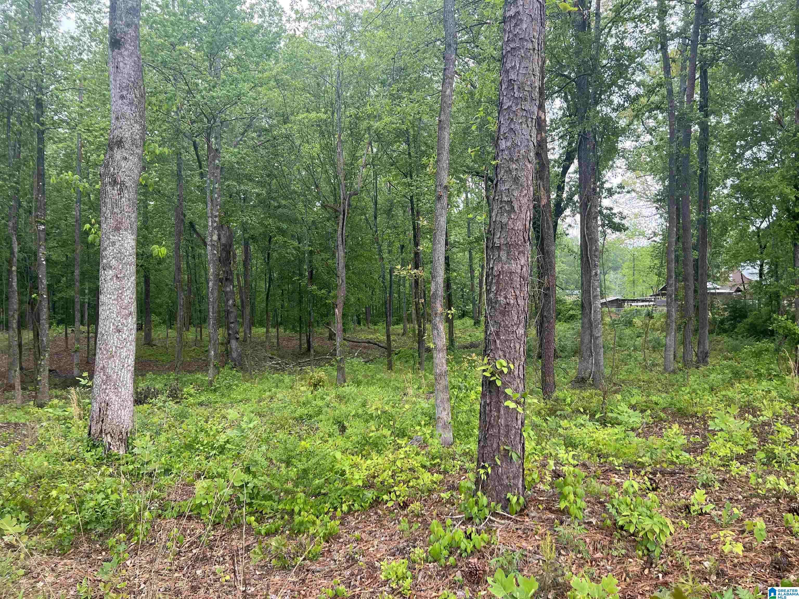 Bessemer, AL 35023,1086 ALLIANCE ROAD #0