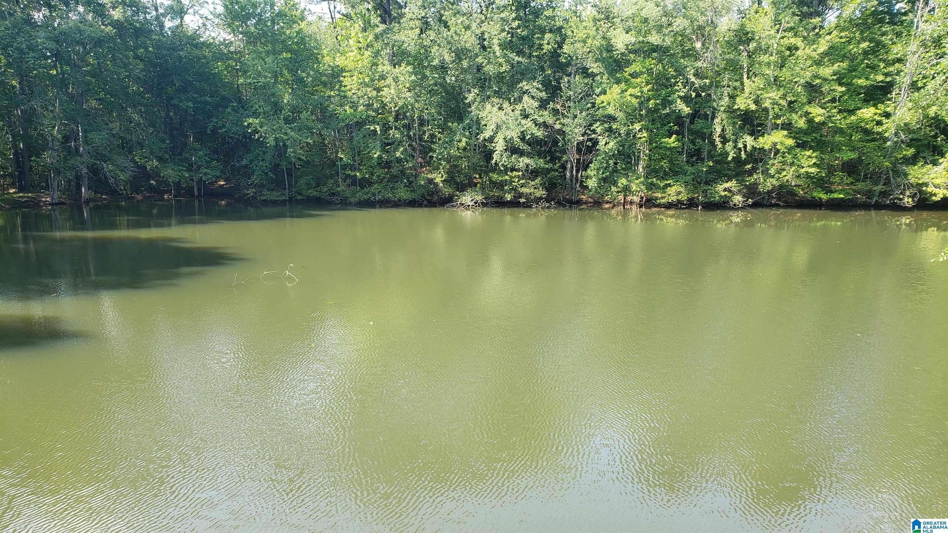 Clanton, AL 35045,800 AIRPORT ROAD #1