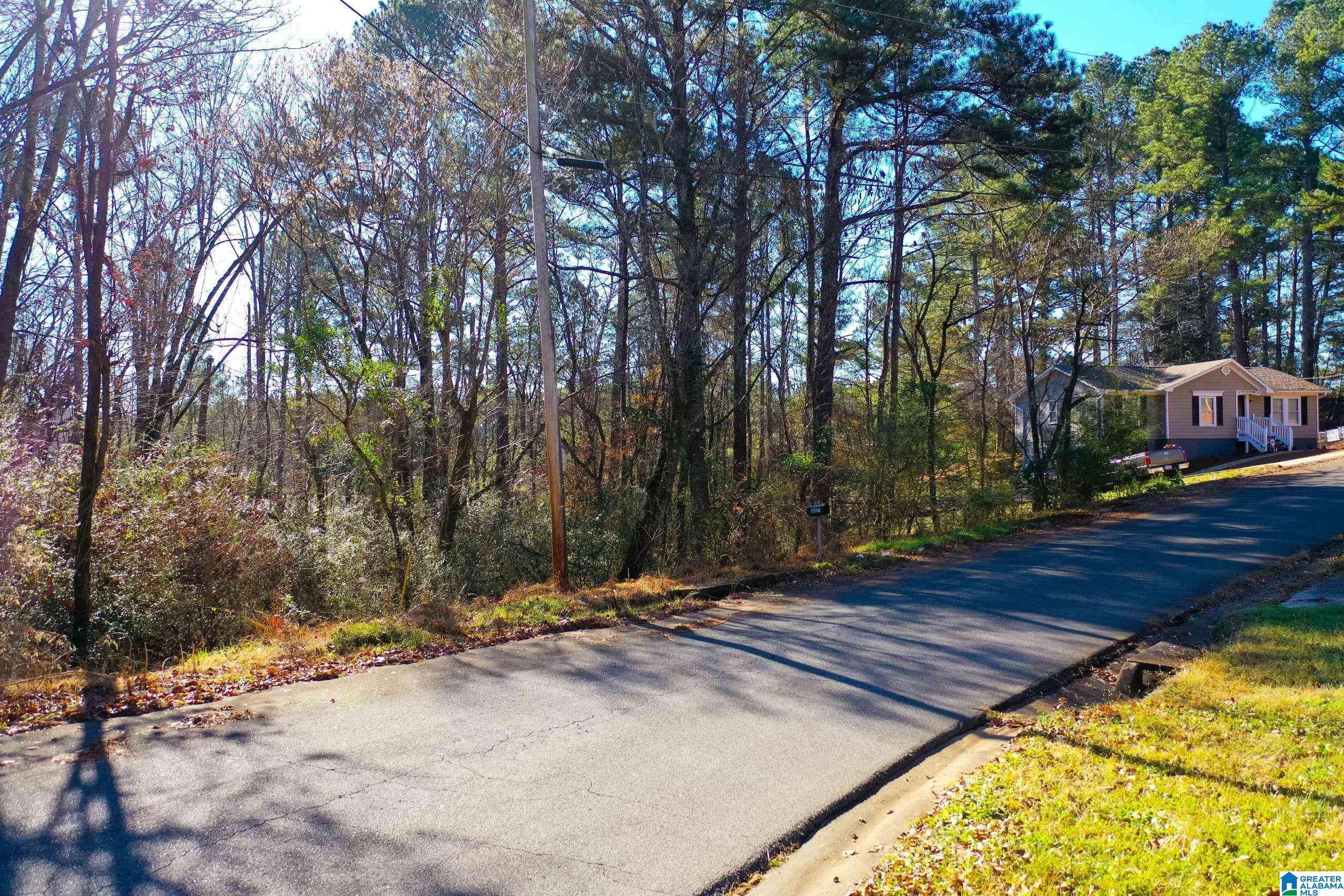 Pinson, AL 35126,8232 COUNTRY CIRCLE #14