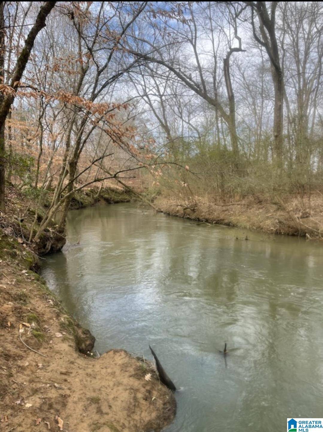 Ohatchee, AL 36271,0 BAILEY SPRINGS ROAD #0