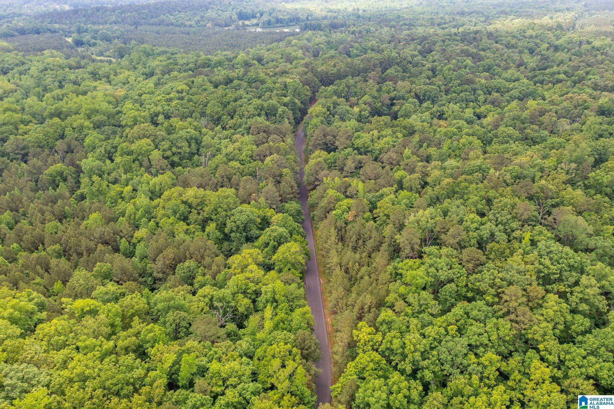 Columbiana, AL 35007,0000 HIGHWAY 26 #0