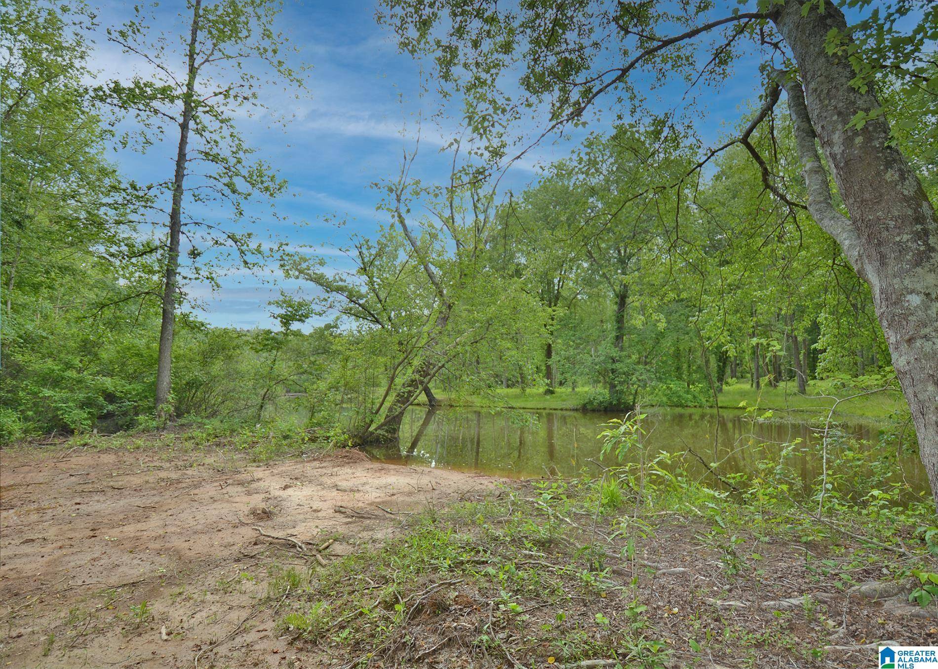 Wedowee, AL 36278,Lot 8 COUNTY ROAD 244 #Lot 8