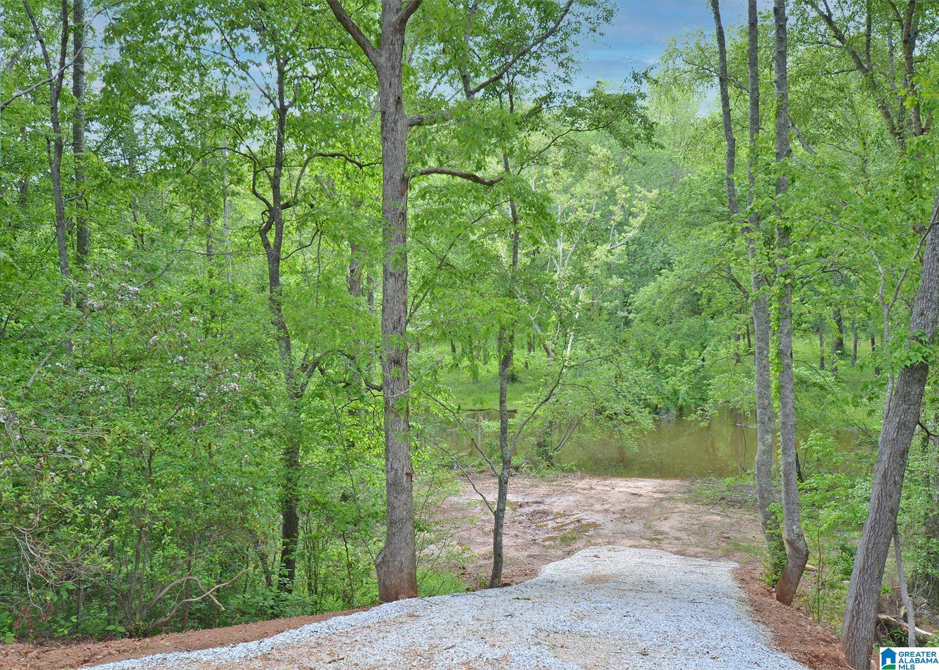 Wedowee, AL 36278,Lot 8 COUNTY ROAD 244 #Lot 8