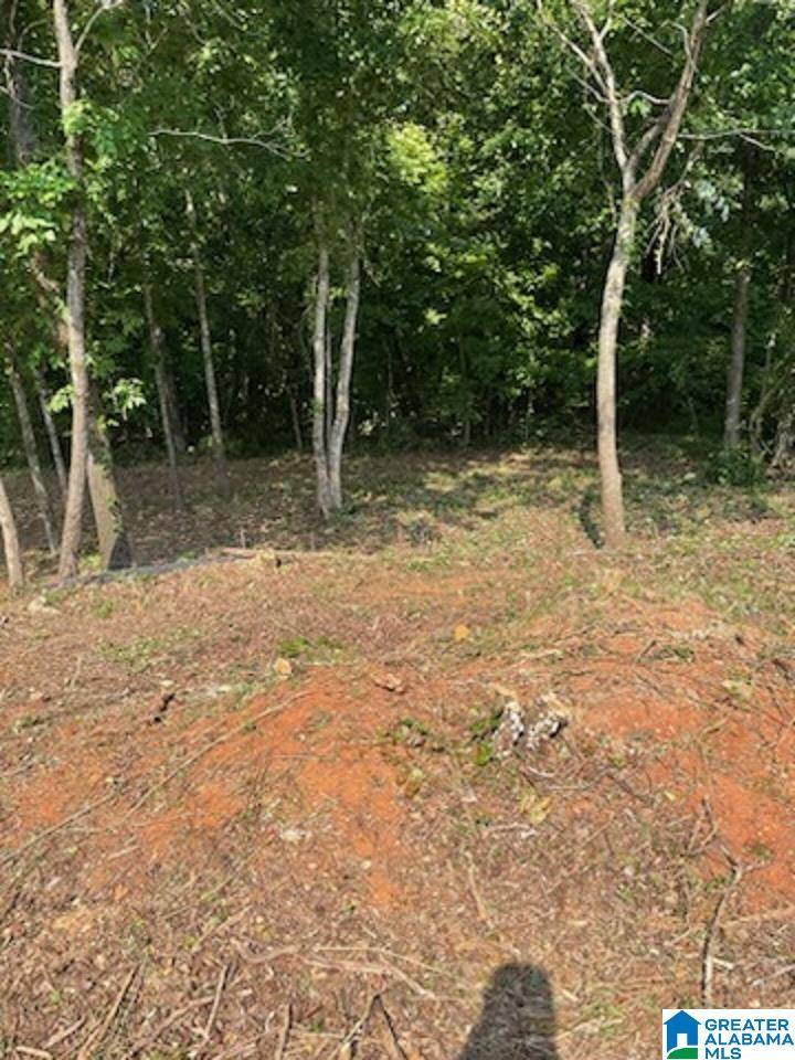 Hoover, AL 35244,5861 SHADES RUN LANE #7A