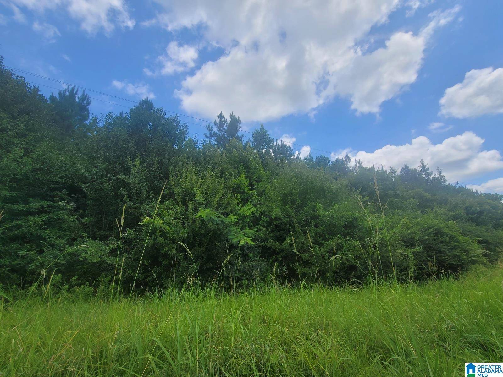 Harpersville, AL 35078,0 HIGHWAY 280