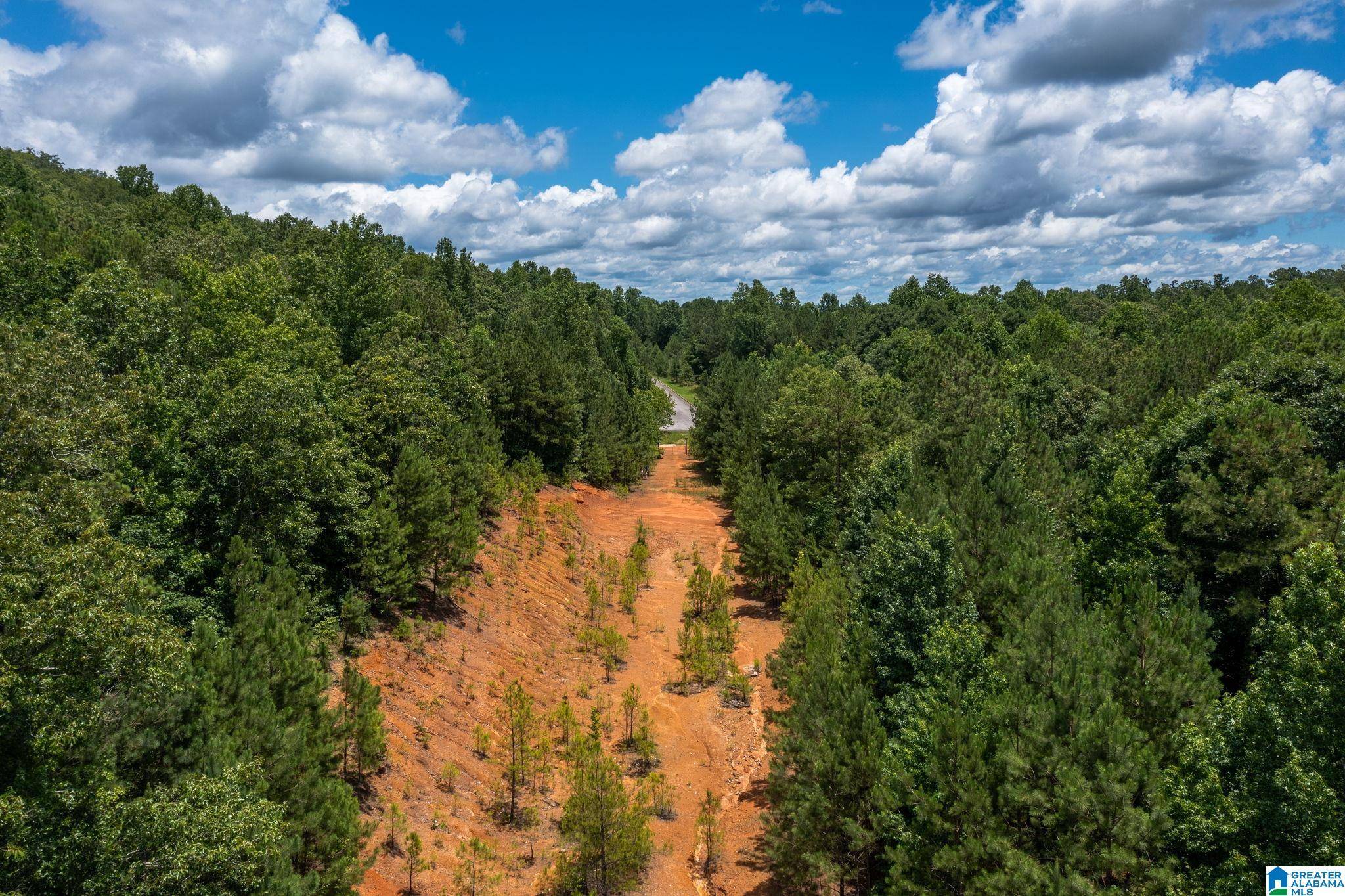 Chelsea, AL 35043,DEER RIDGE DRIVE #0
