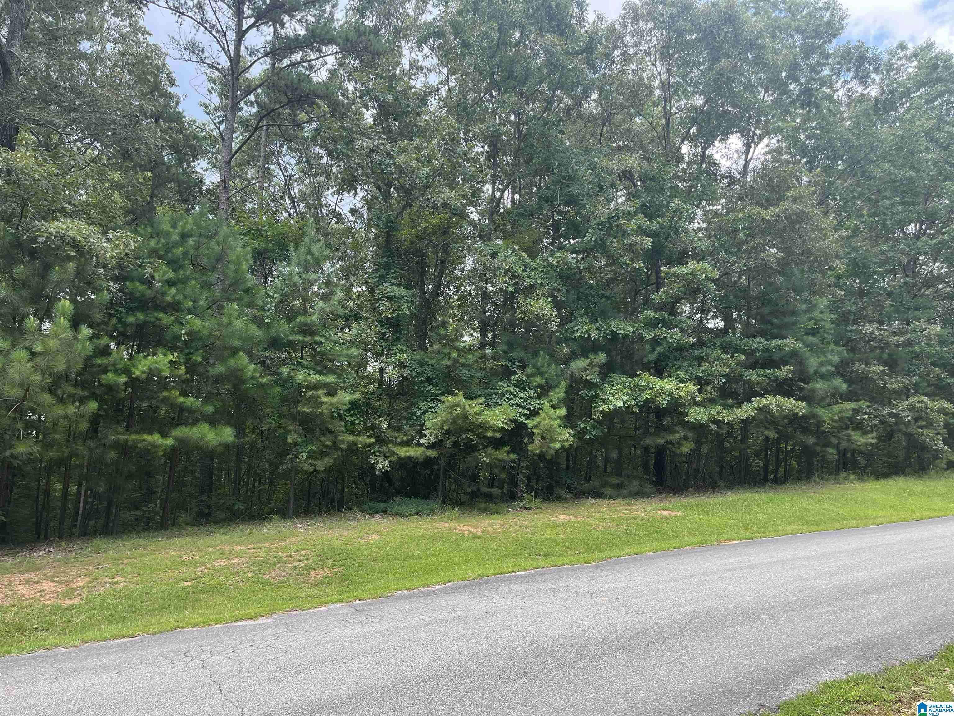 Wedowee, AL 36278,0 LAUREL WAY #Lot 78