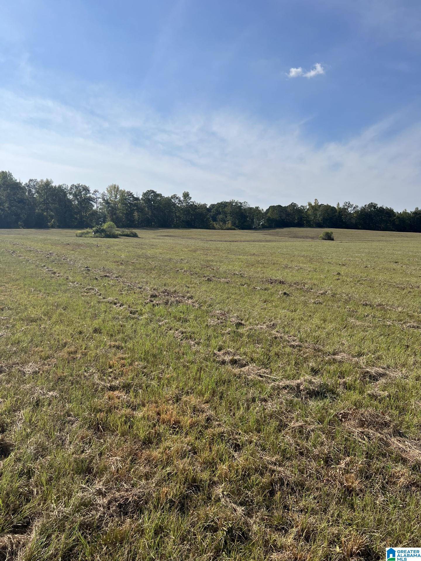 Clanton, AL 35045,0 NEW HARMONY ROAD #0