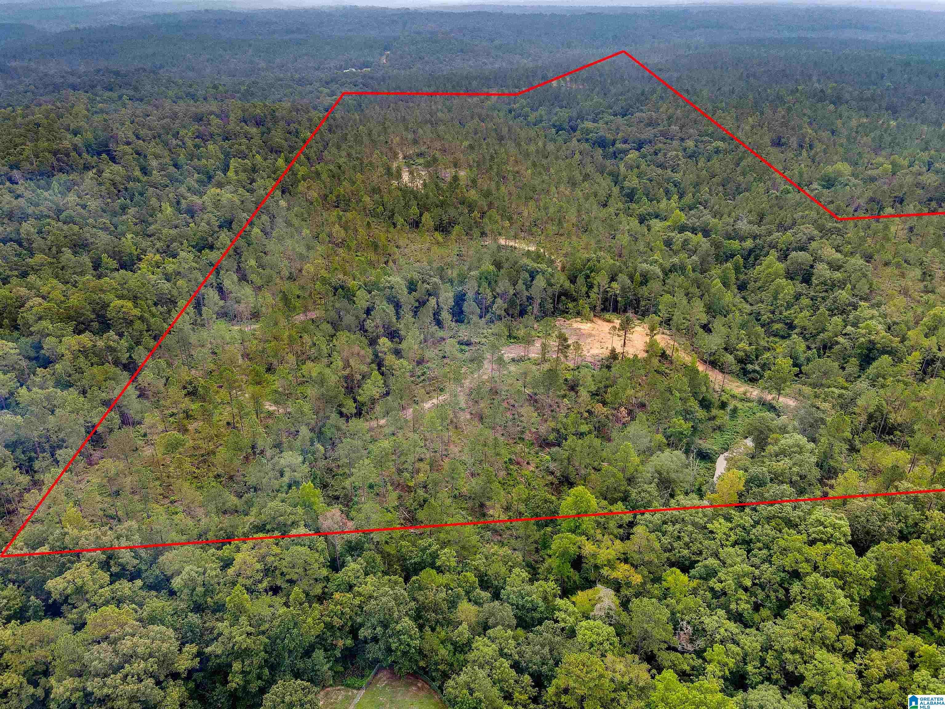 Clanton, AL 35046,0 HIGHWAY 145 #1